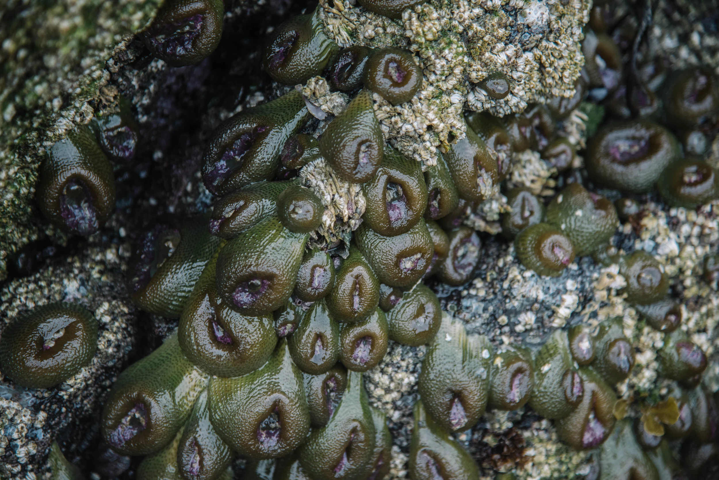 _DSC9605.jpg