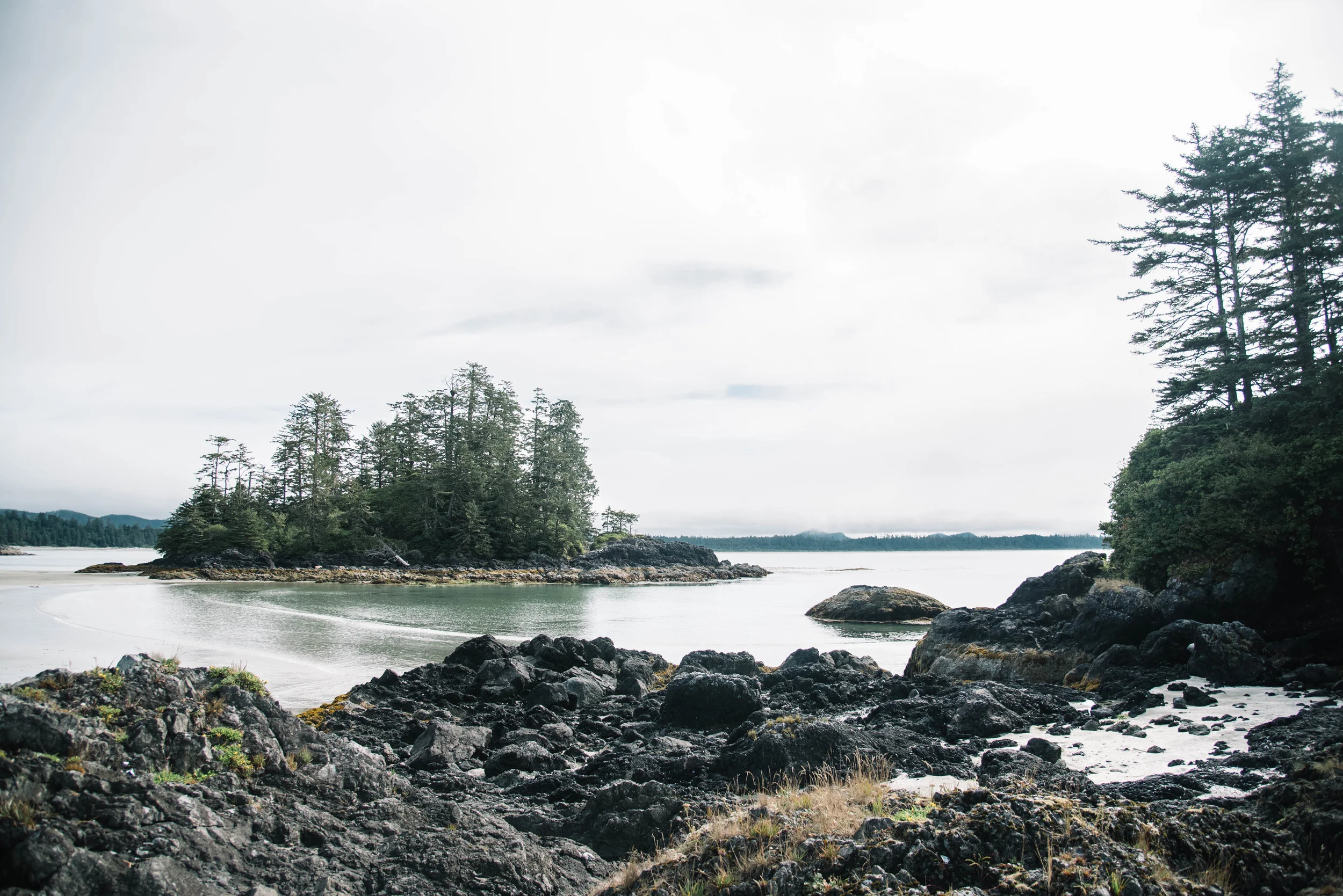 _DSC9678.jpg