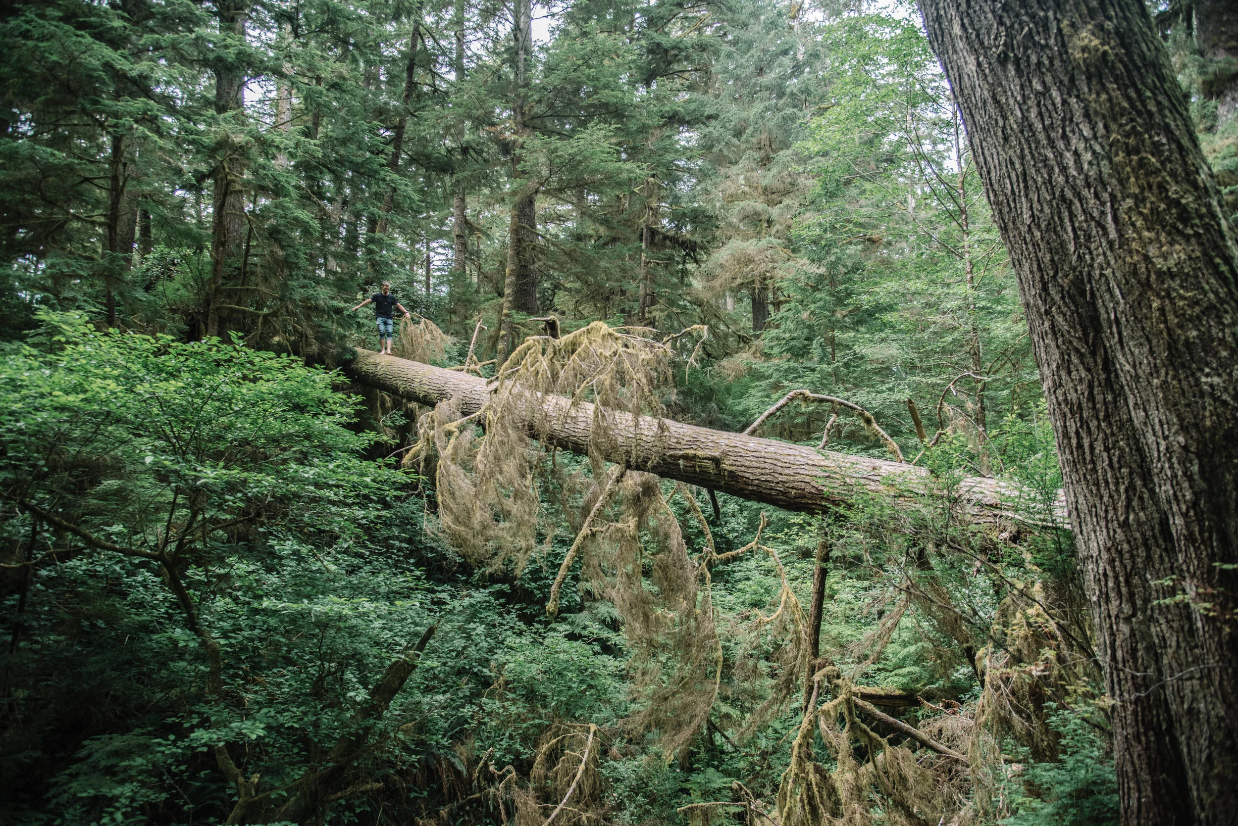 _DSC9855.jpg