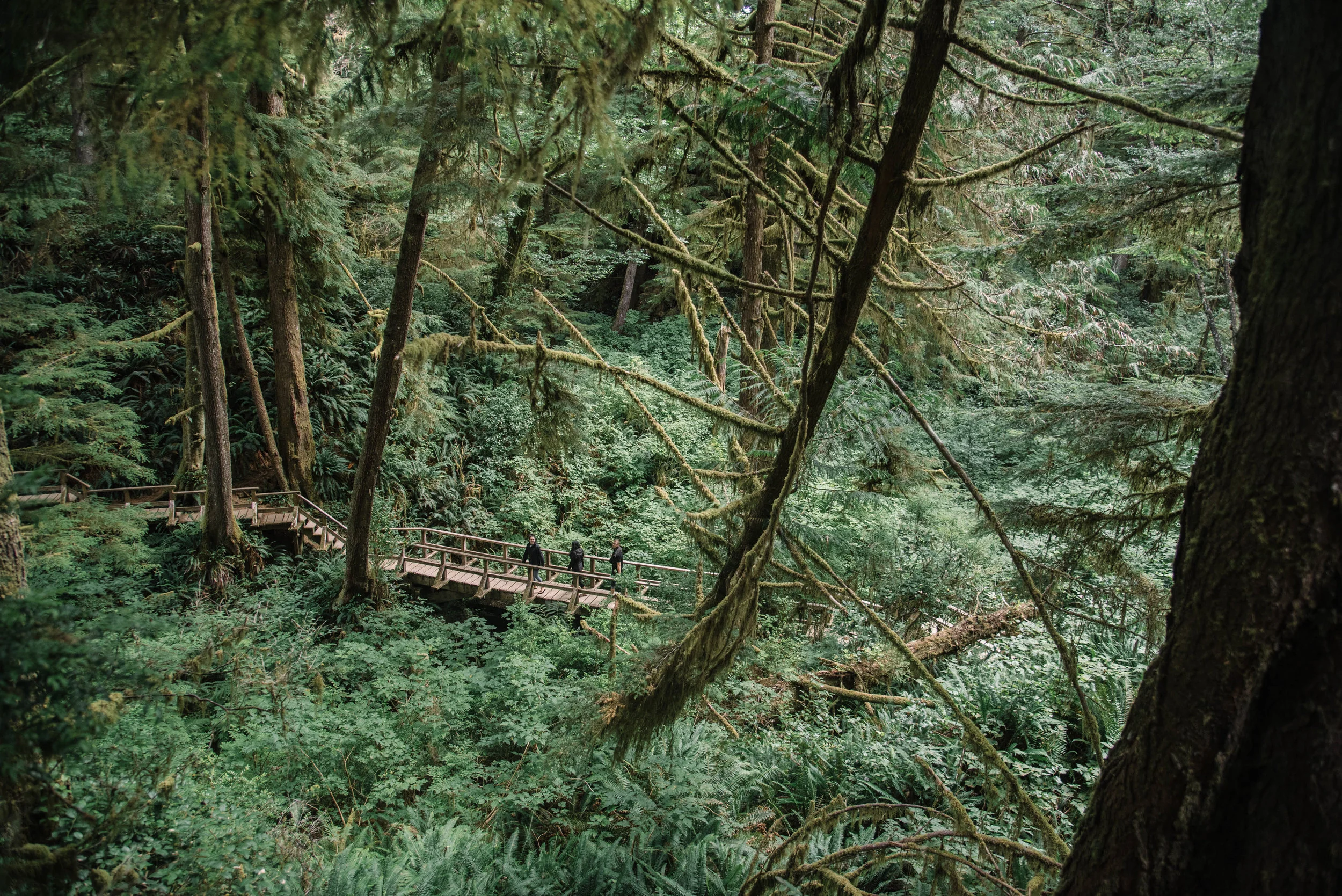 _DSC9837-2.jpg