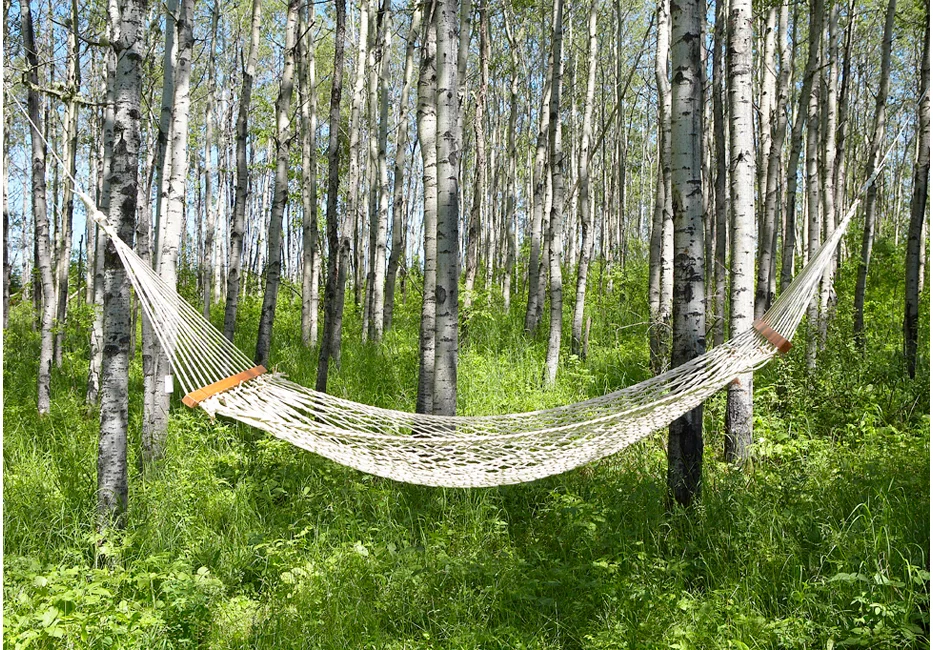 J_Hammock_650web.jpg