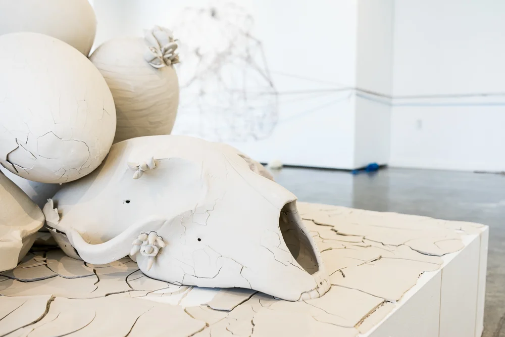 ASU Install at M st. Gallery.jpg