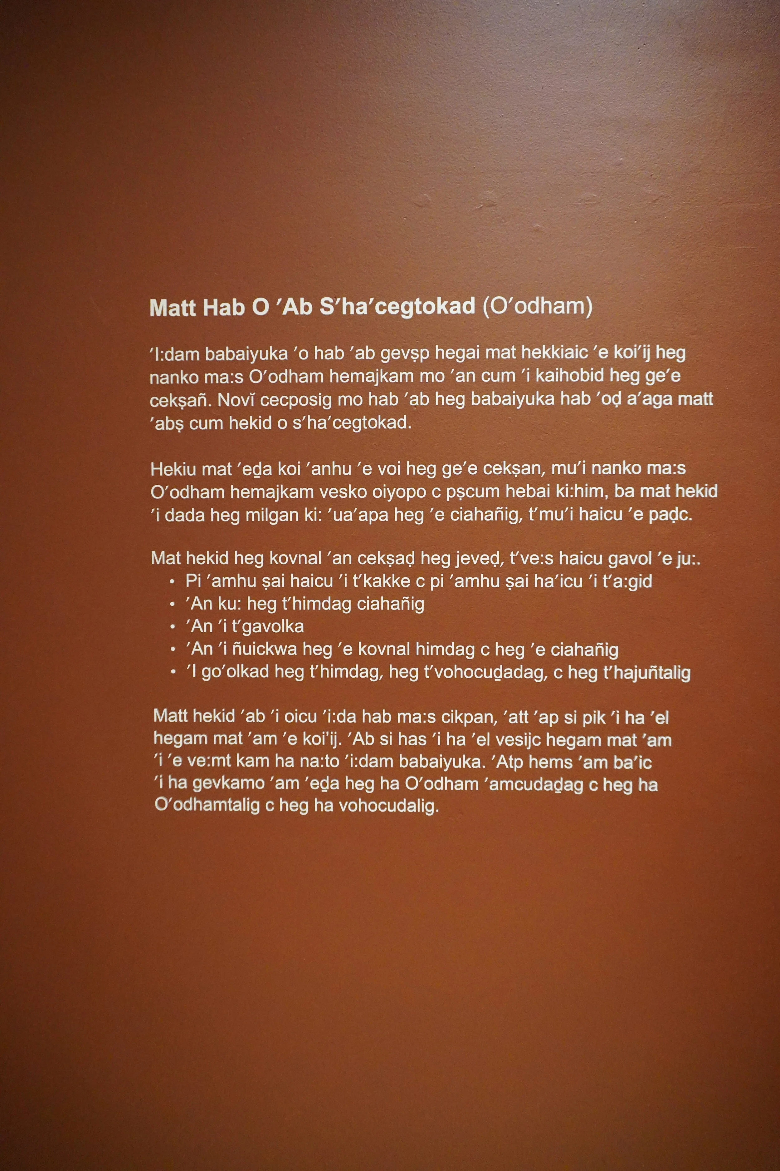 Something To Hold Onto Cannupa Hanska