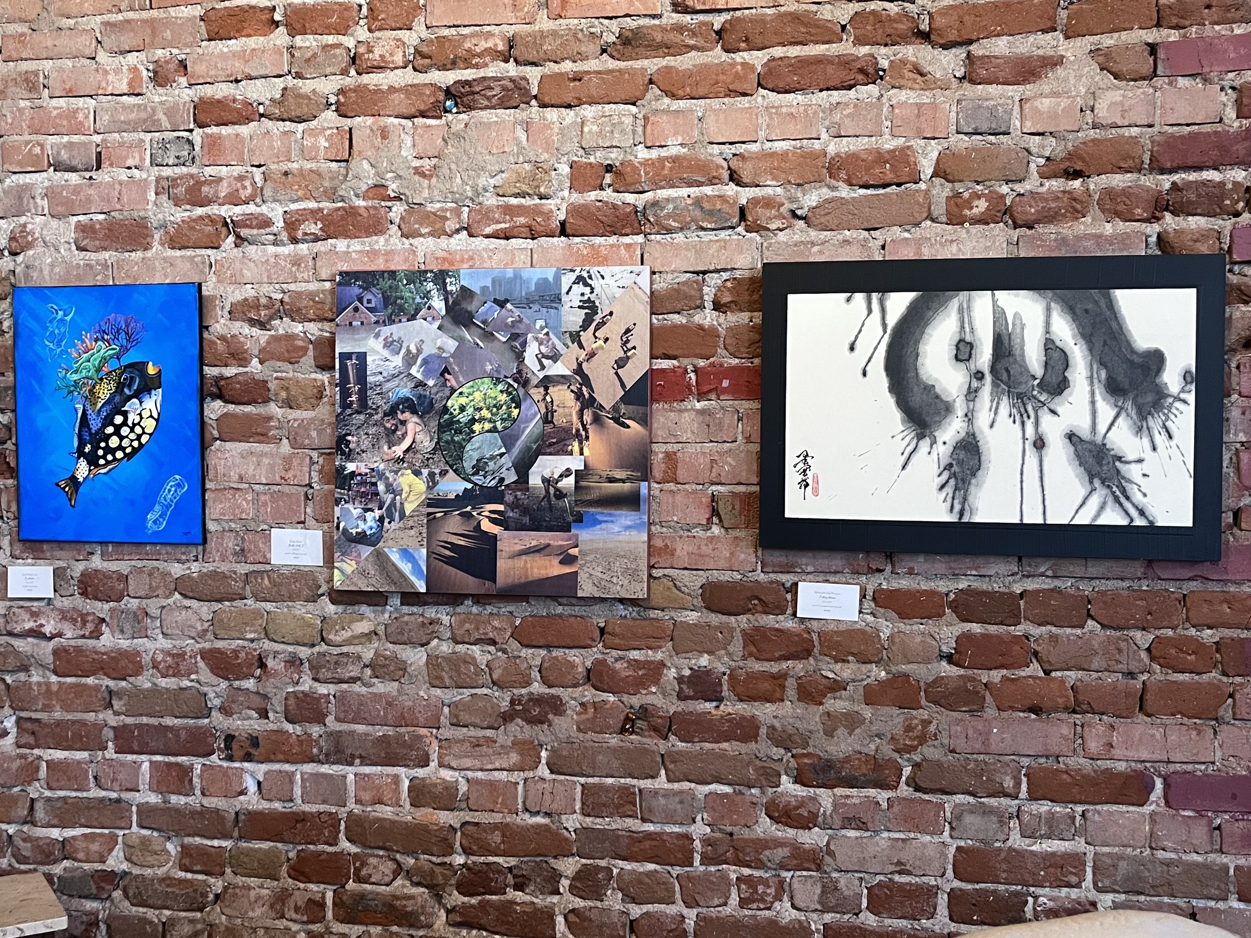 Tortuga Gallery