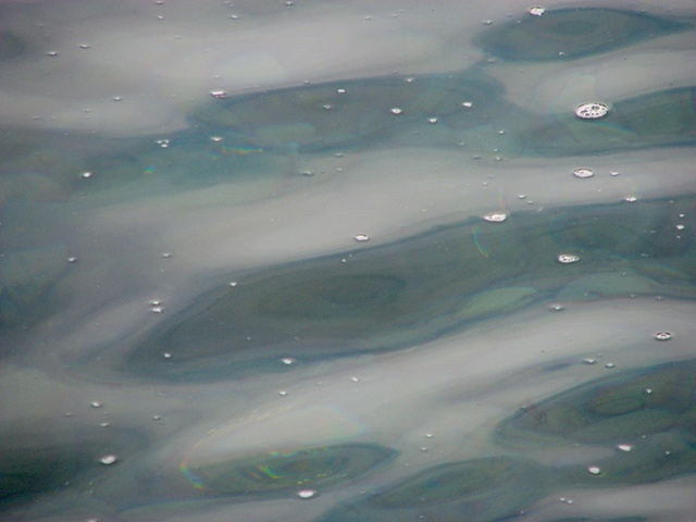 Water II, 2011