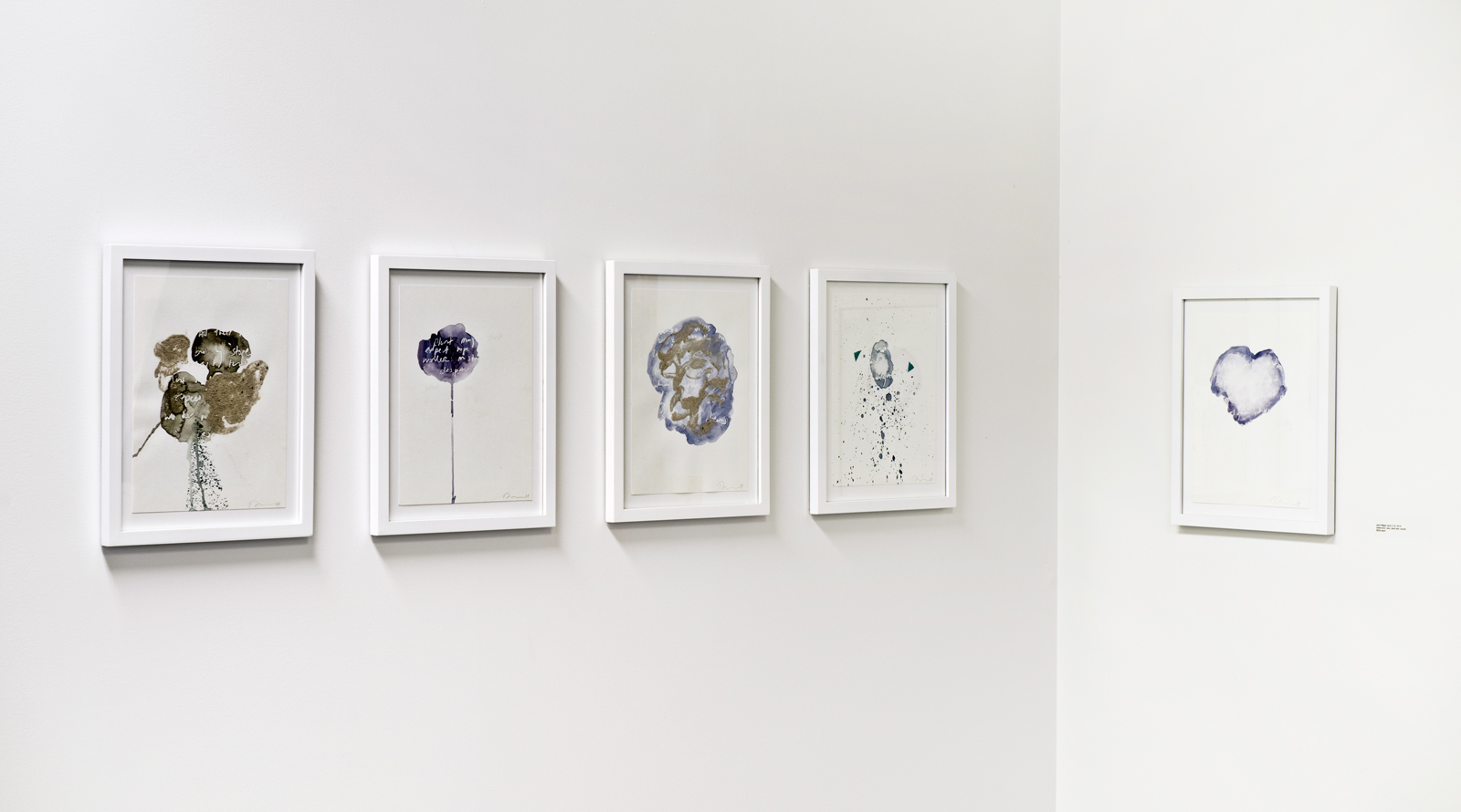 plant Magic dust (1-5), 2014