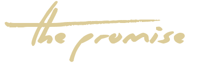 The Promise Wedding blog