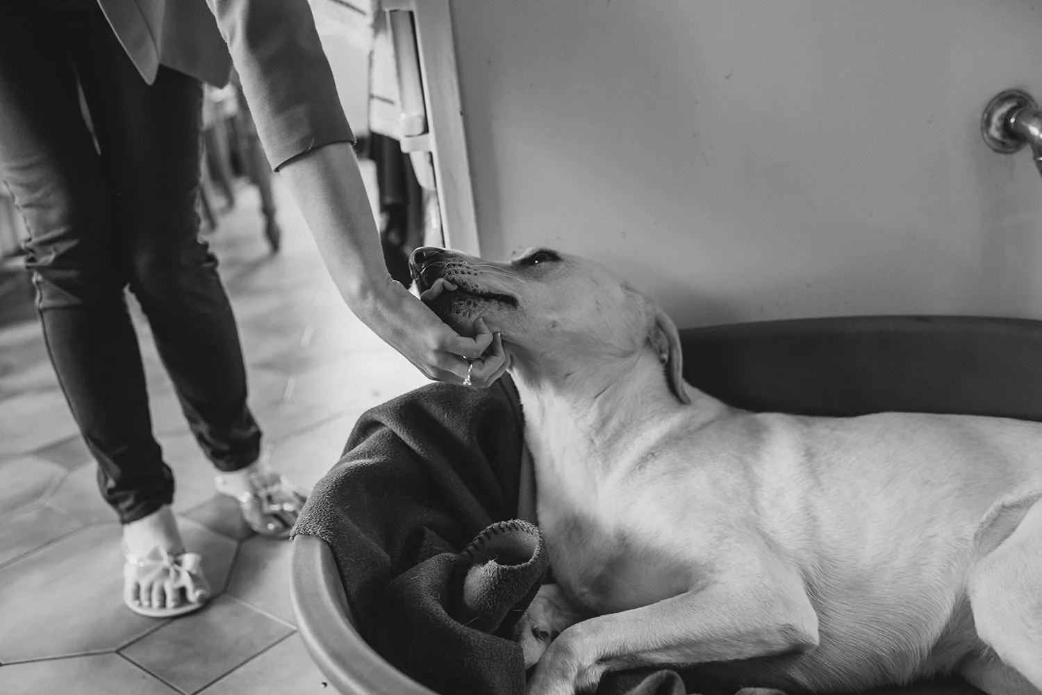  Northern Ireland Wedding Photographers 