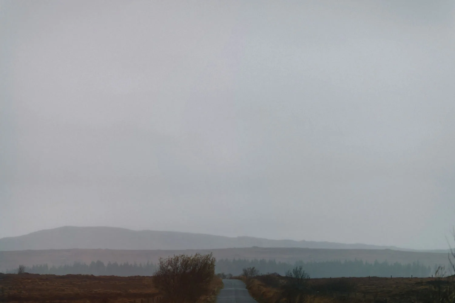  Northern Ireland Wedding Photographers 