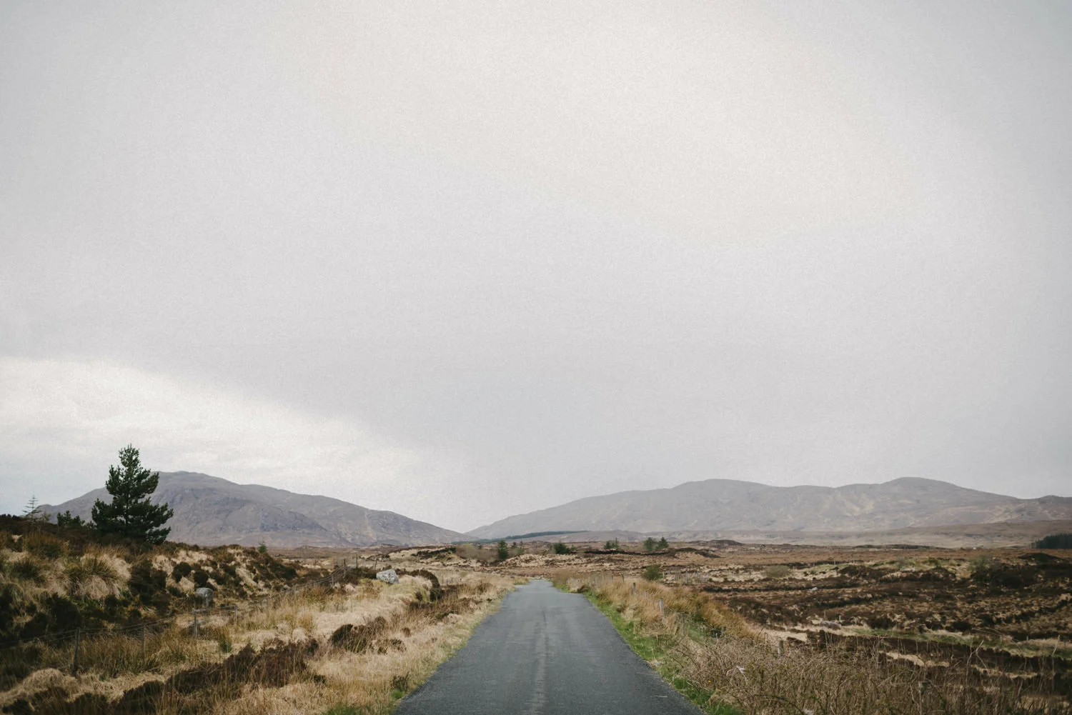  Northern Ireland Wedding Photographers Photography 