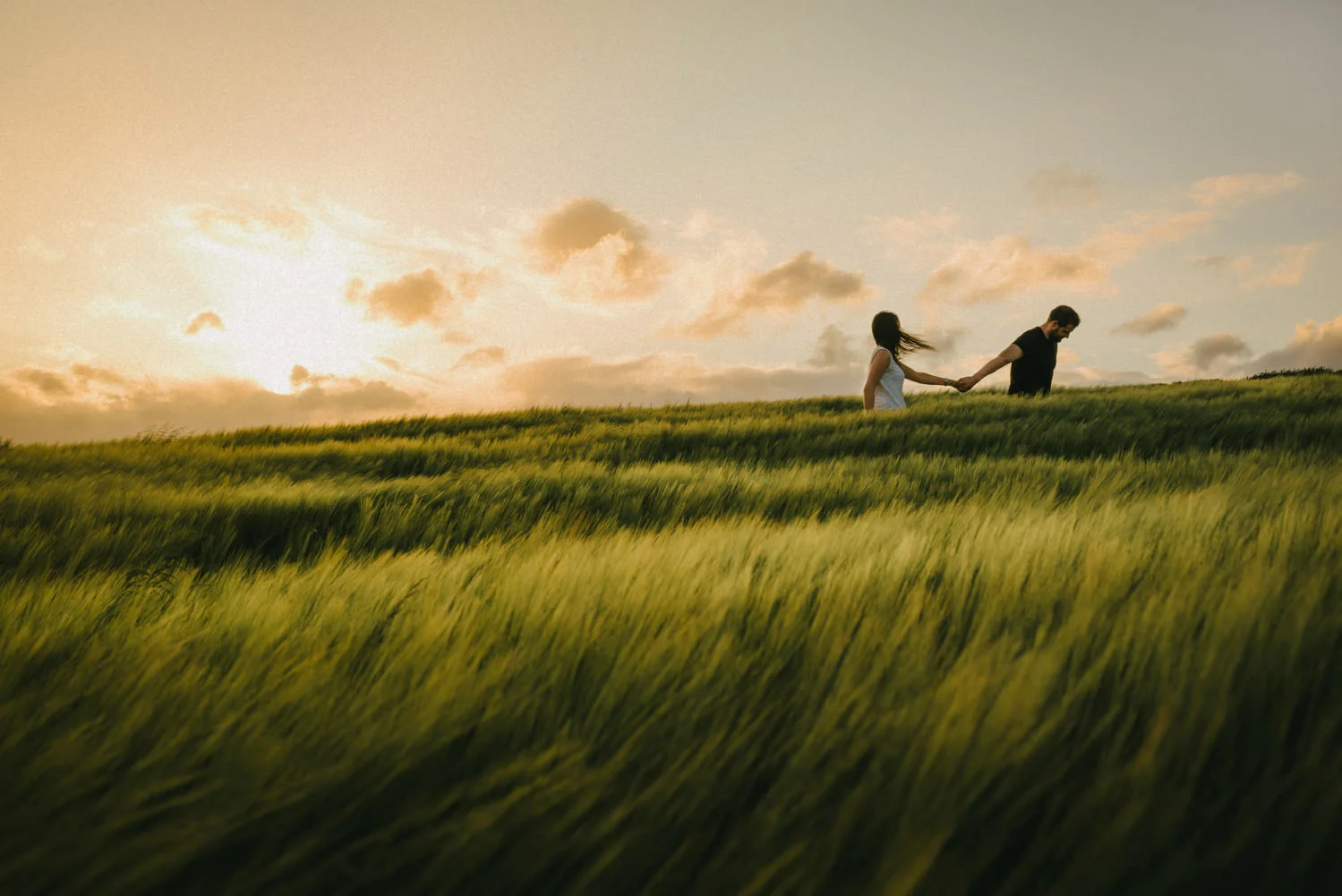  Northern Ireland Alternative Wedding Photographers Photography Walking through cornfields 