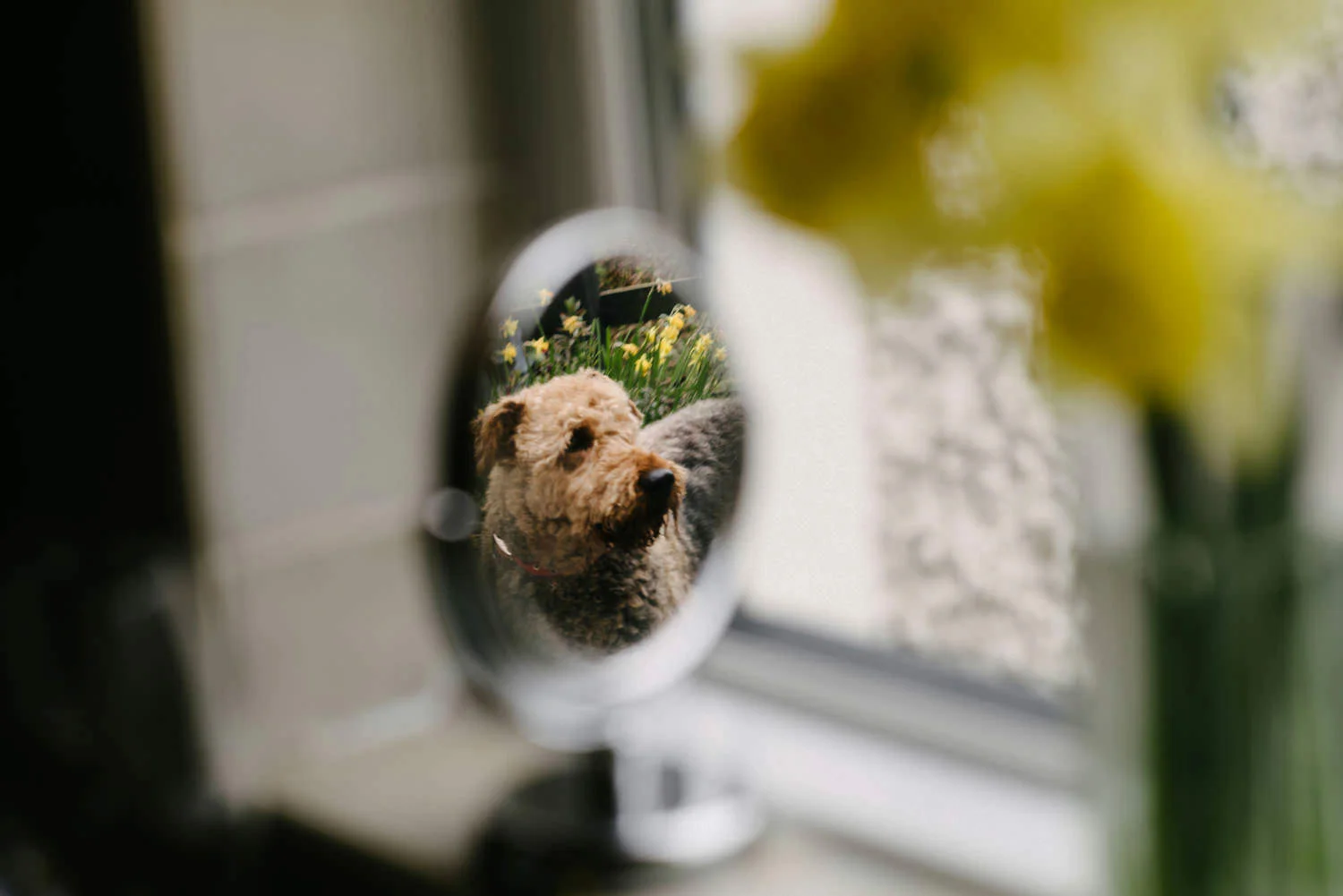  Village at Lyons Wedding photos photography.  Best Wedding photographers Ireland. 