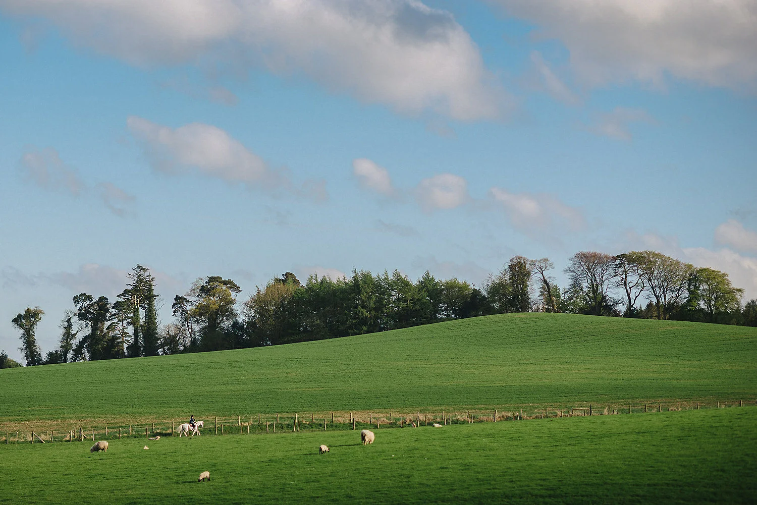  The Carriage Rooms at Montalto Wedding Photos. Humanist Wedding Northern Ireland 