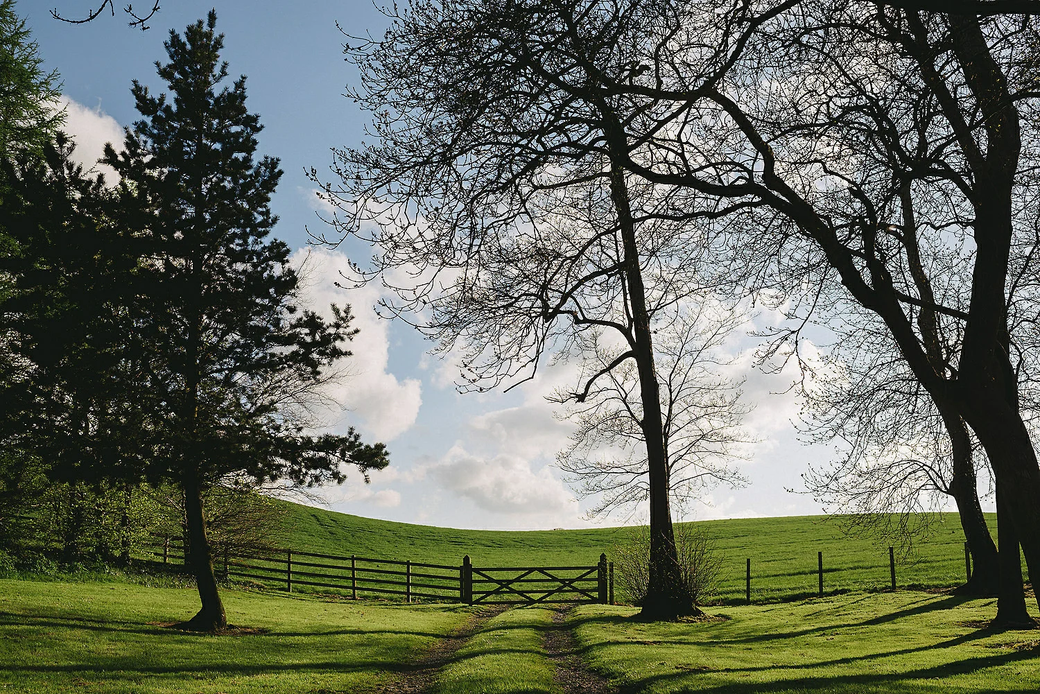  The Carriage Rooms at Montalto Wedding Photos. Humanist Wedding Northern Ireland 