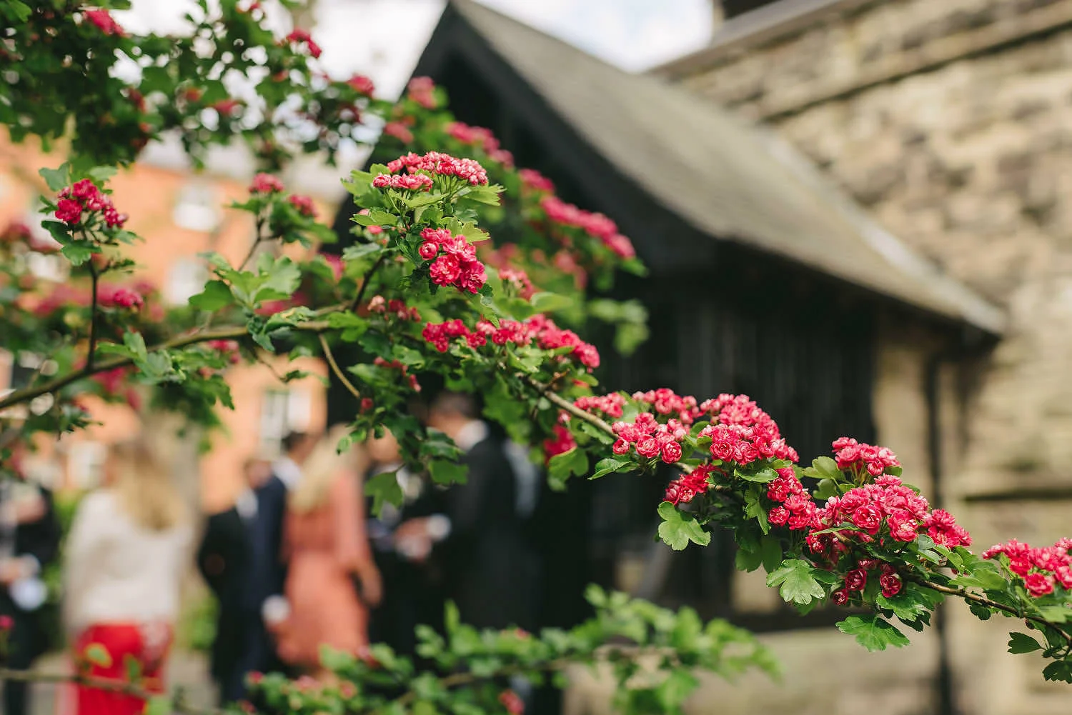 Queen's University Great Hall Wedding Photos 206.JPG