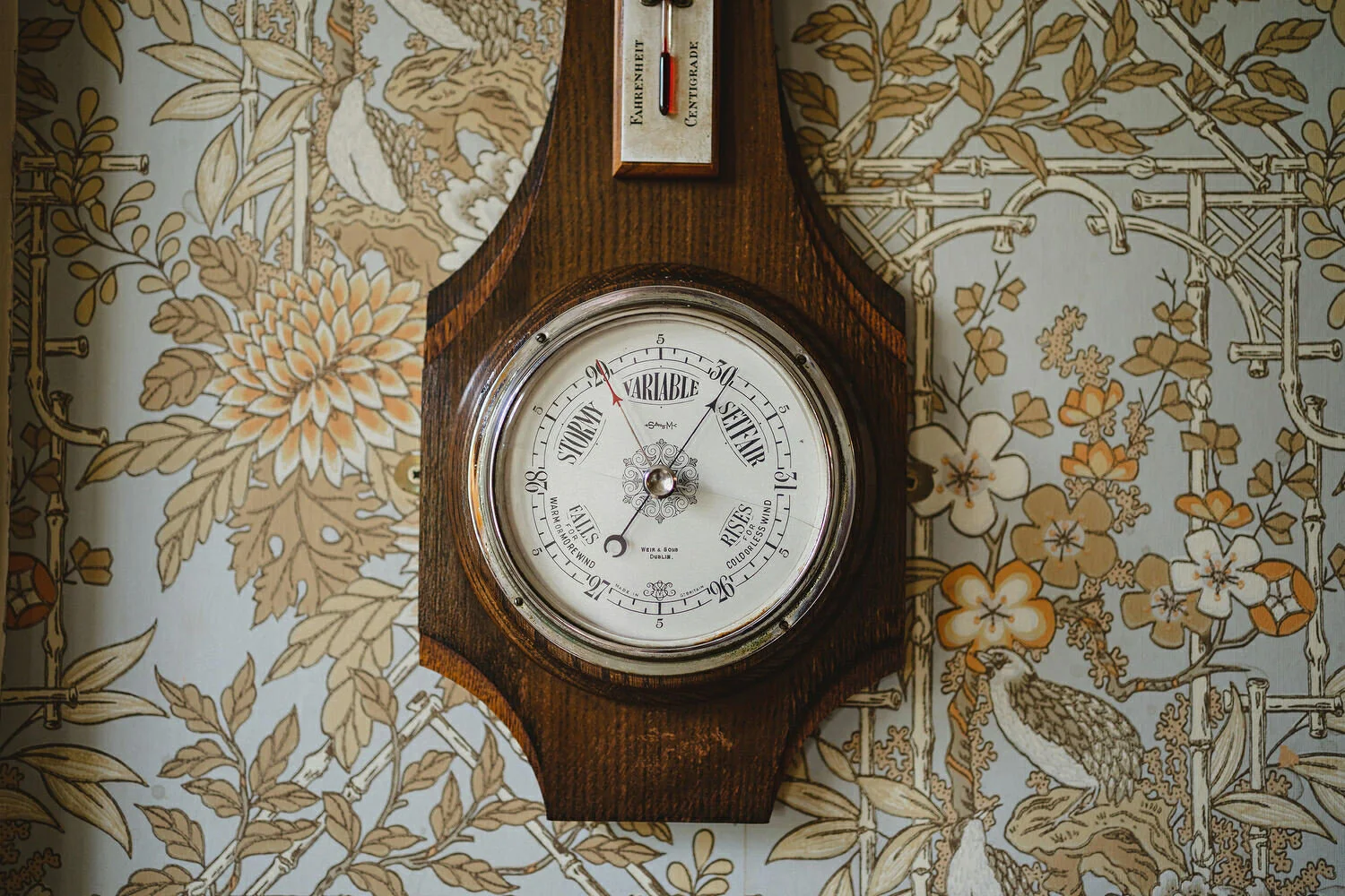  Covid-19 Elopement because of coronavirus in Ireland 2020 