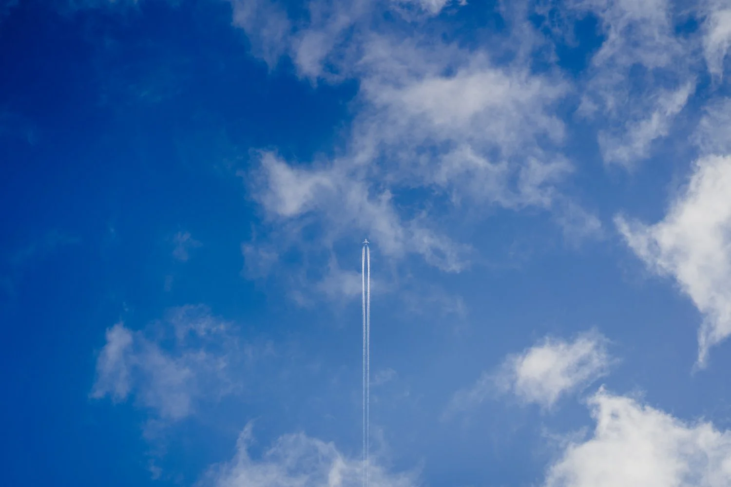  Tullyglass Hotel Wedding Photos.  Cookstown wedding Photographer, Simple Tapestry.  