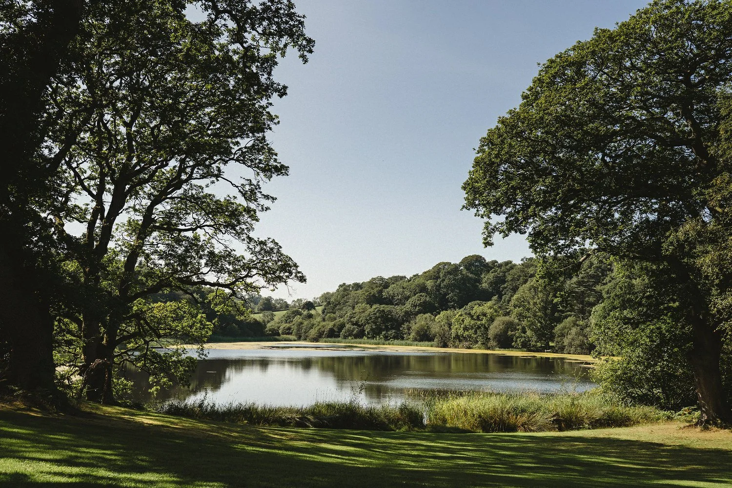 081 Finnebrogue Woods Wedding Photos.JPG