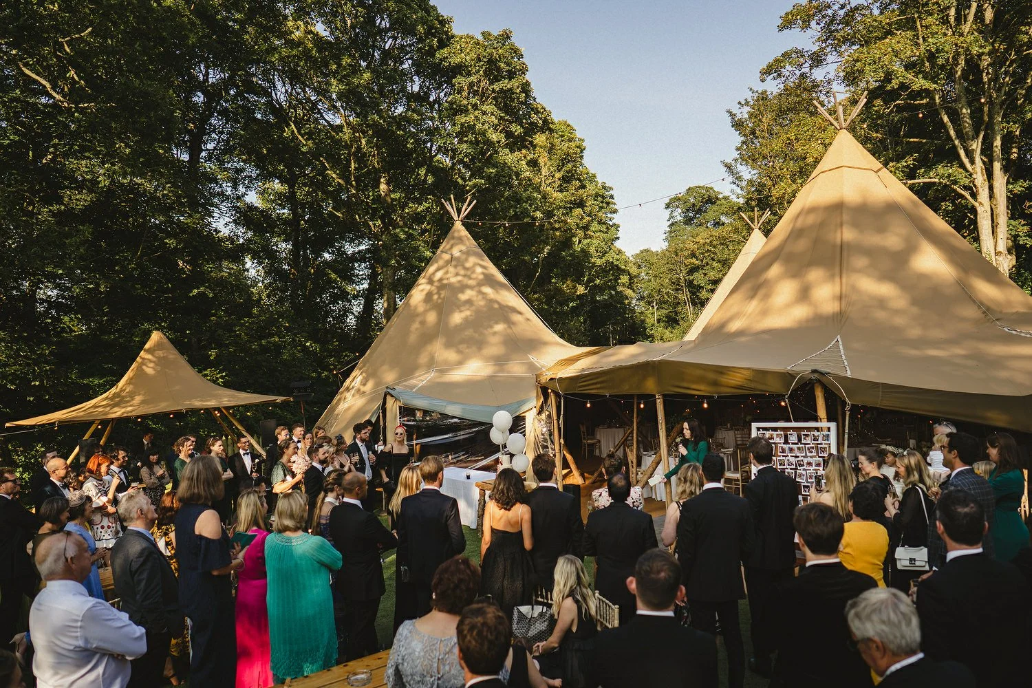 144 Finnebrogue Woods Wedding Photos.JPG