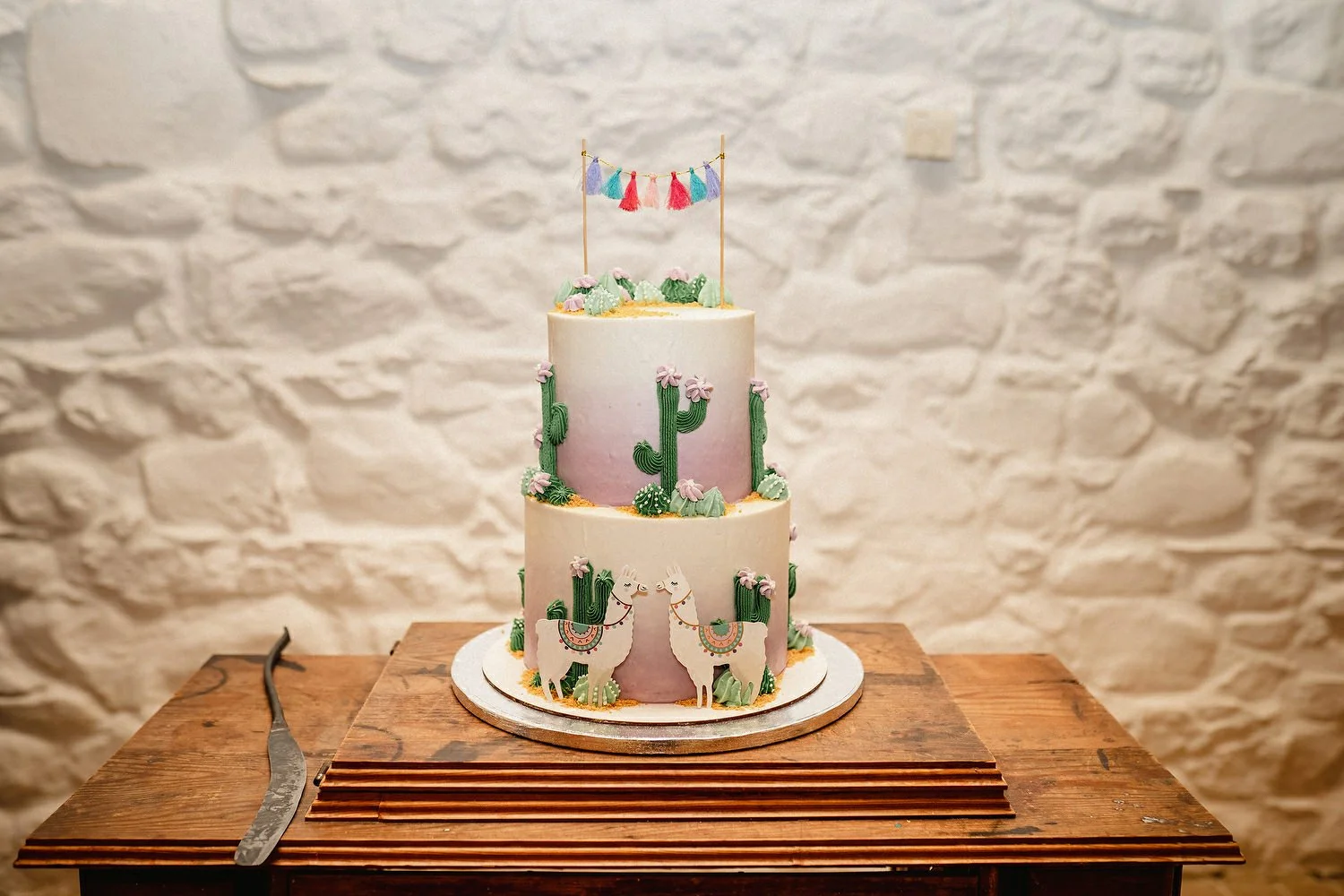 Sarah and Ciaran 361.JPG