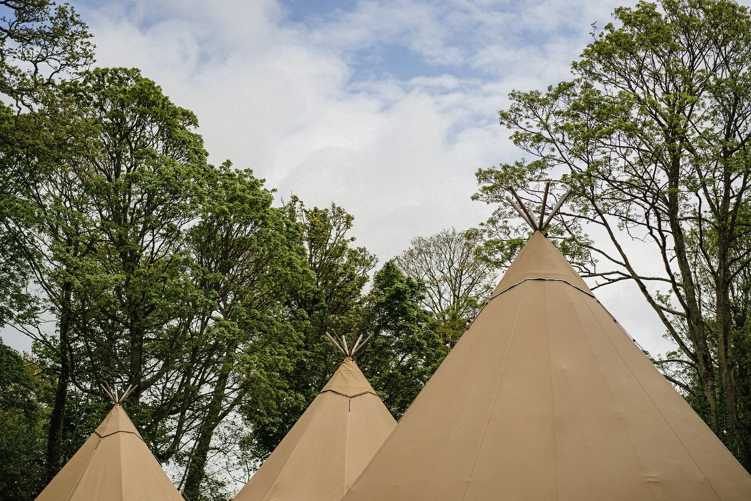 Finnebrogue Woods Outdoor Wedding Photos 014.JPG