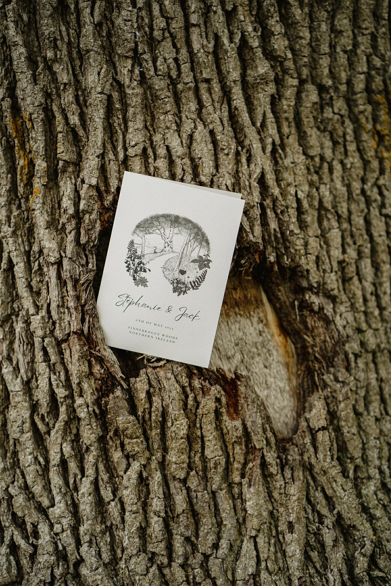 Finnebrogue Woods Outdoor Wedding Photos 019.JPG