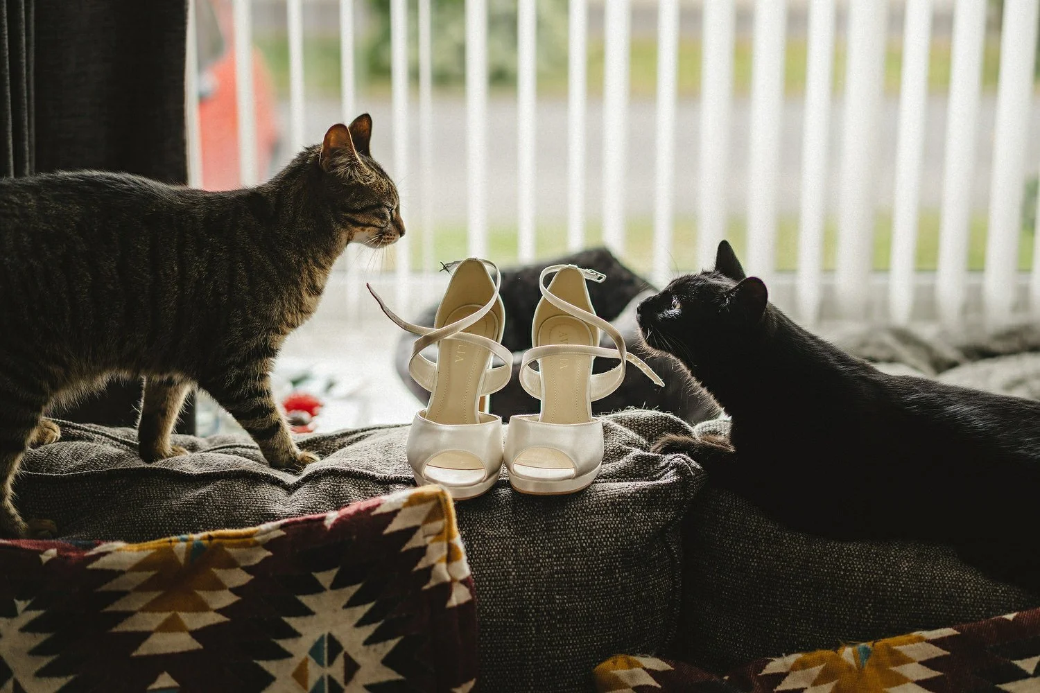  Best wedding photos of 2021. Best Wedding photographers in Northern Ireland. 