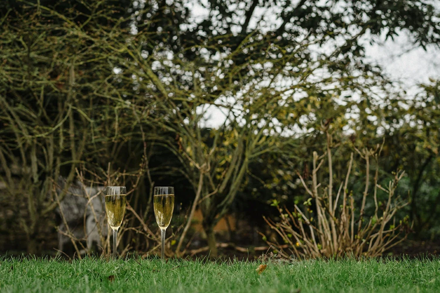Ballymagarvey Village winter wedding photos 090.JPG