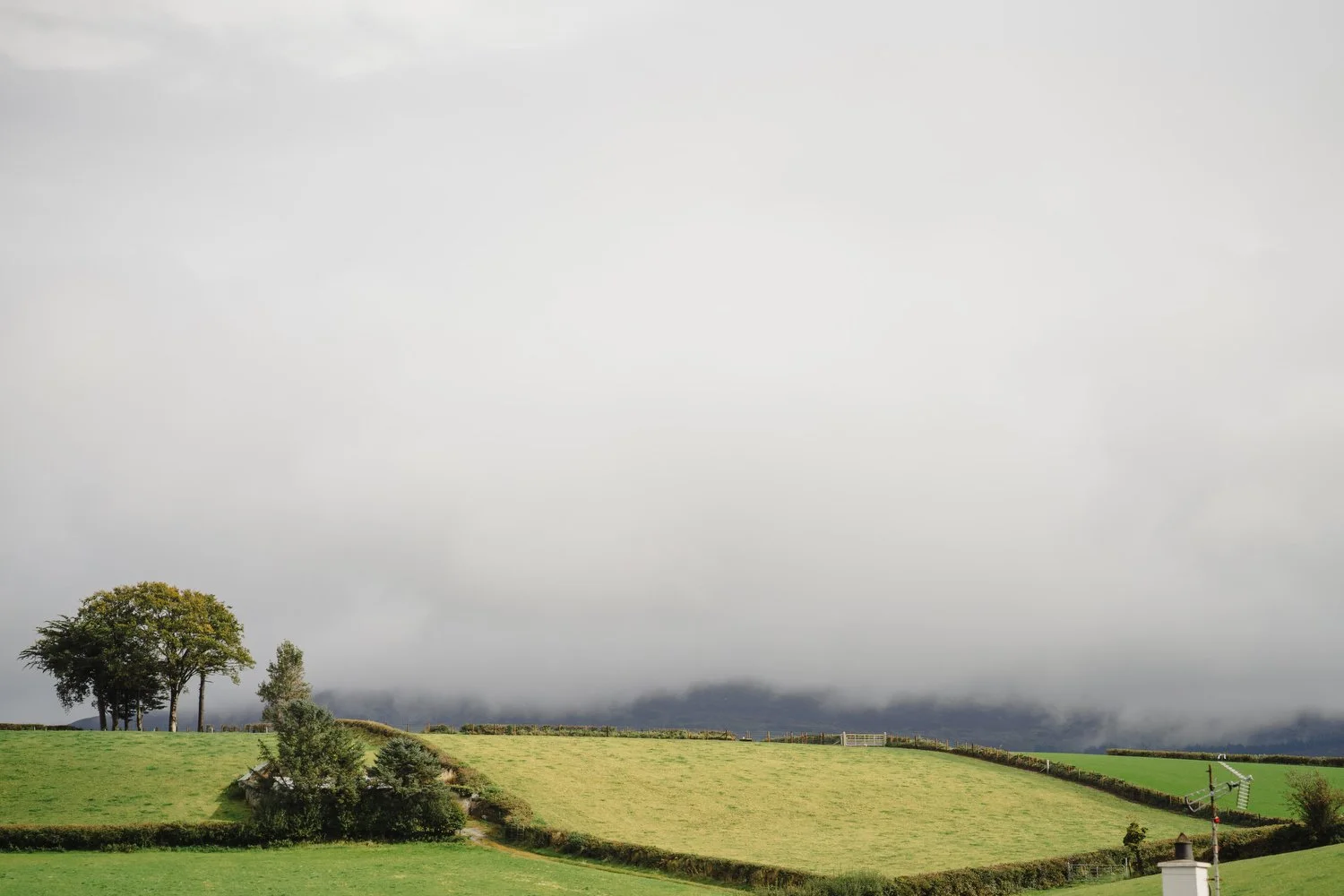 Janet and Daniel Castle Leslie Estate Wedding 028.JPG