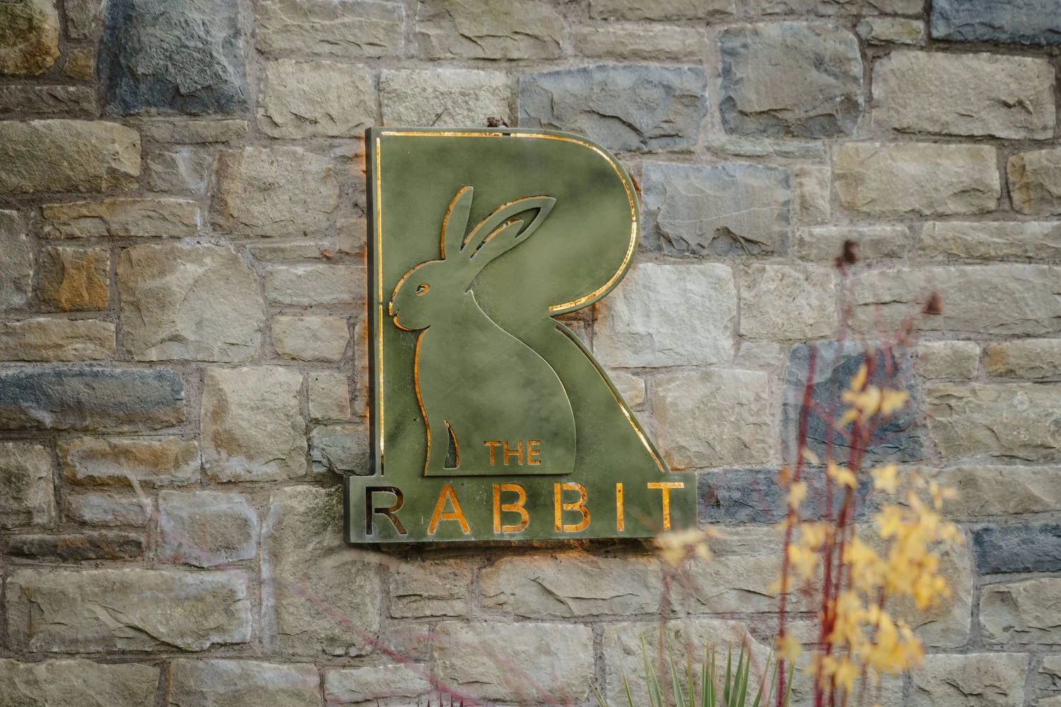 Rebecca and Cathal 131.JPG