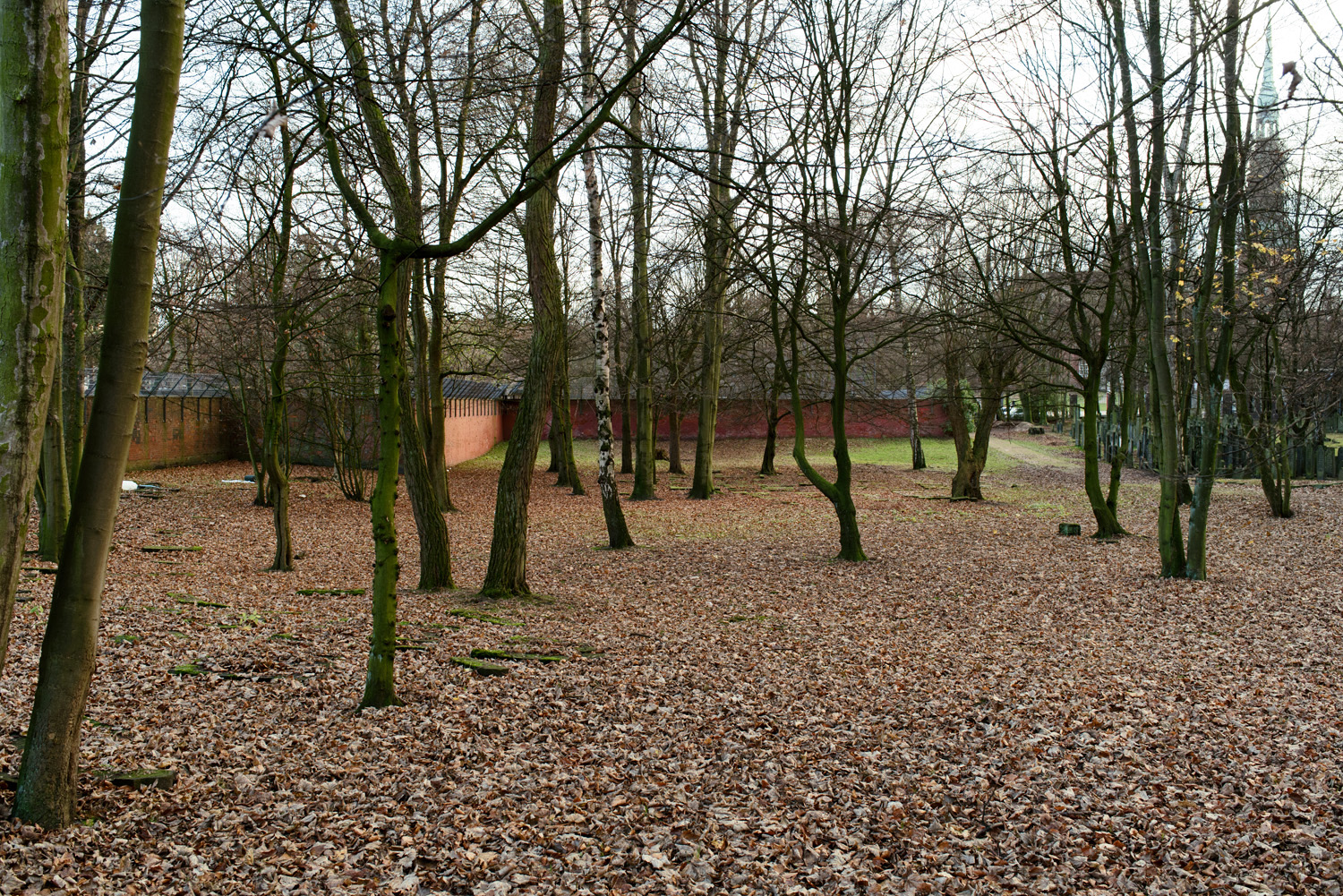 Jüdischer Friedhof Altona-1808.jpg