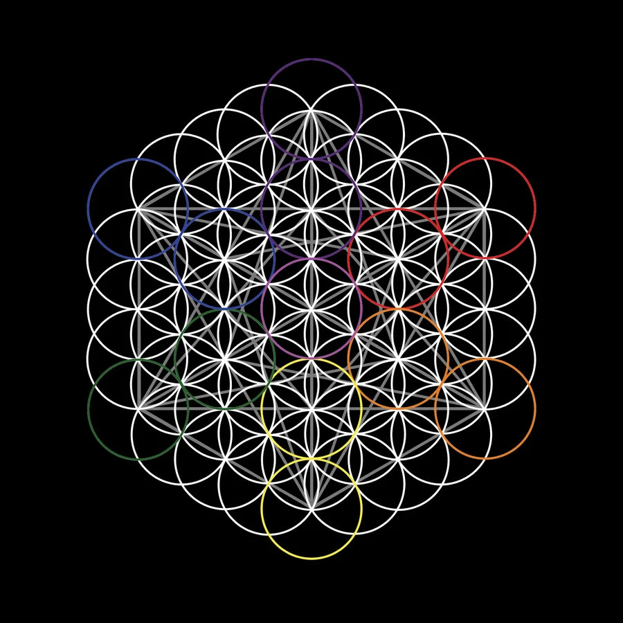 flower_of_life_and_metatron__s_cube_by_joyscola-d584wox.jpg