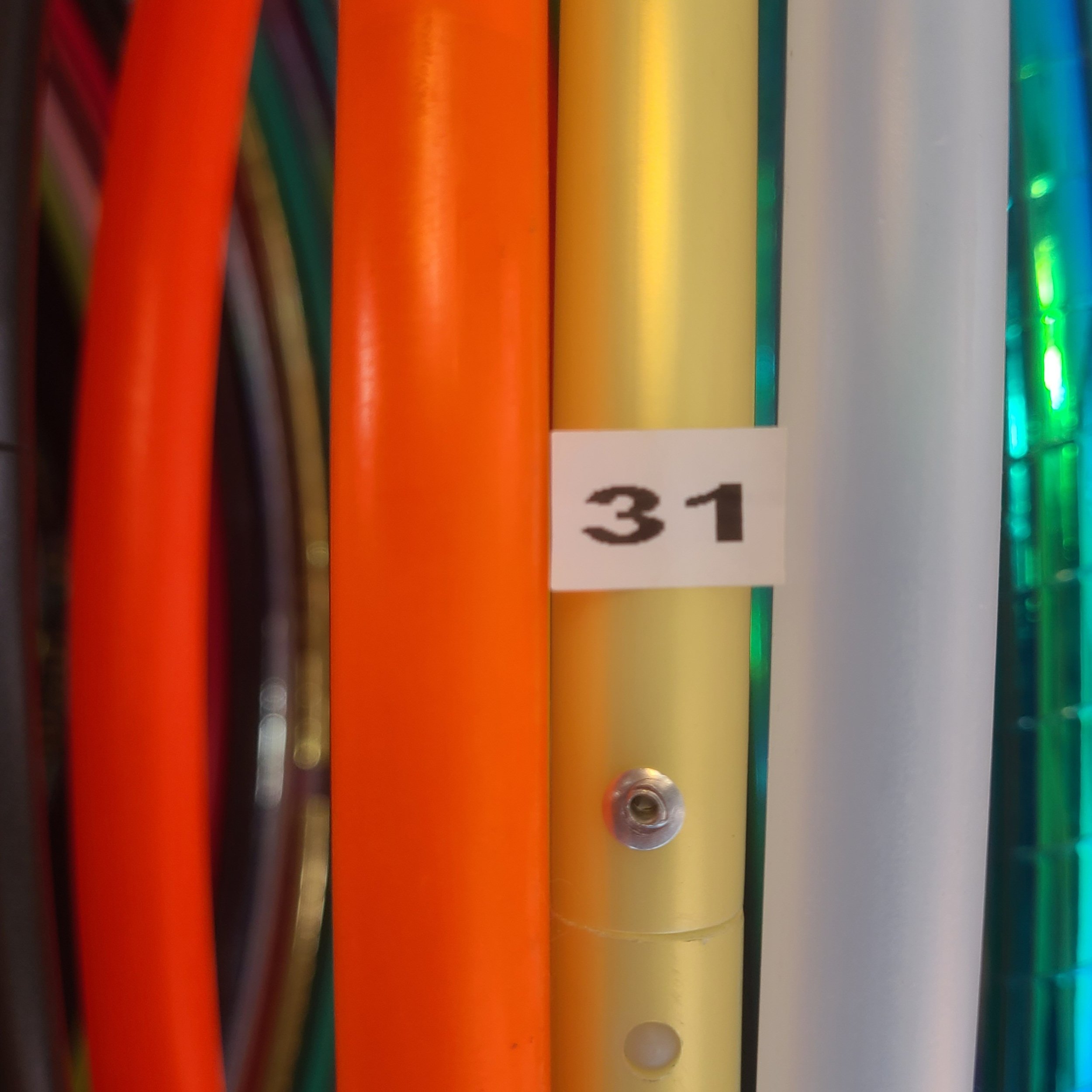 31.jpg