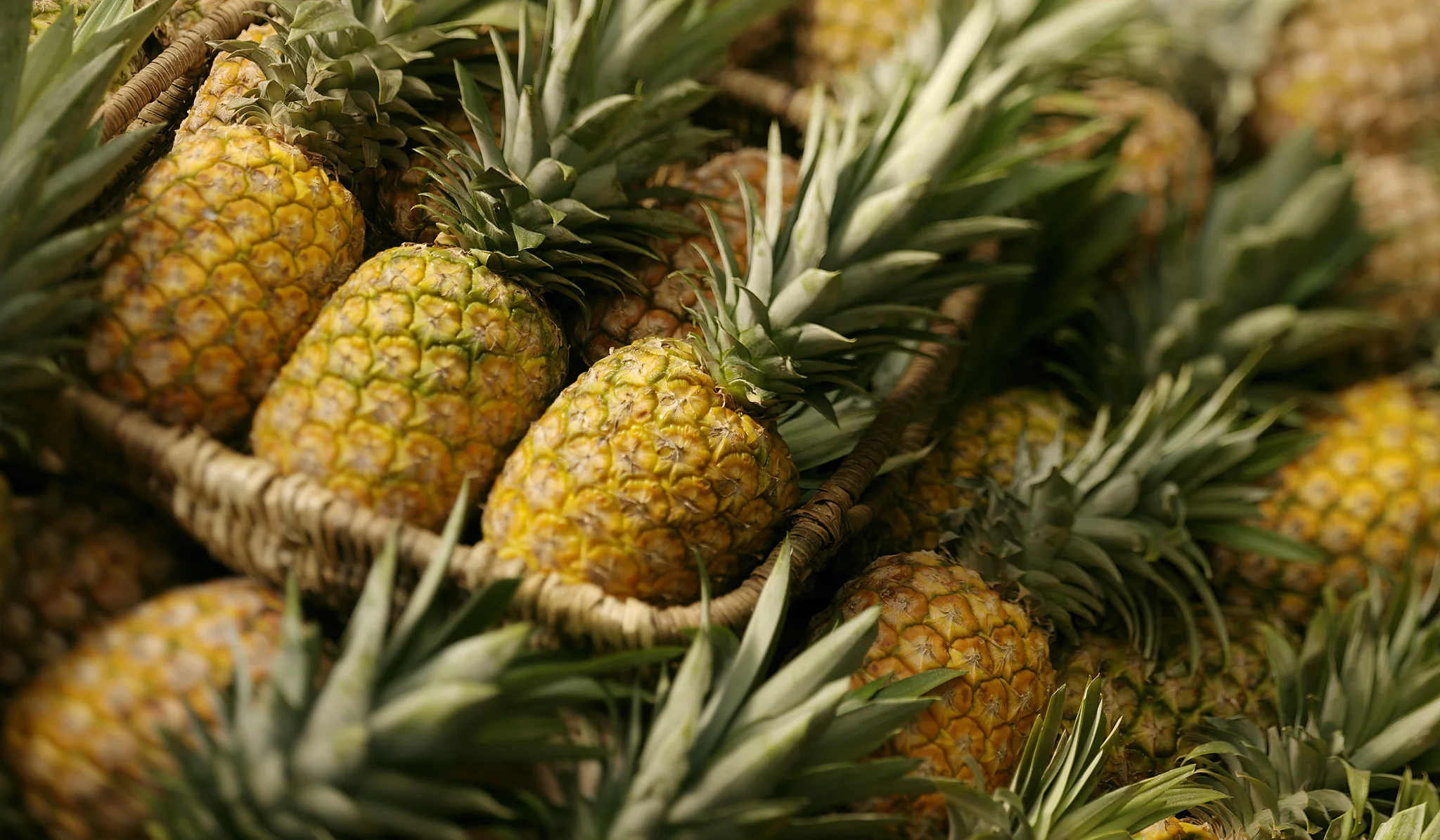 pineapple5.jpg