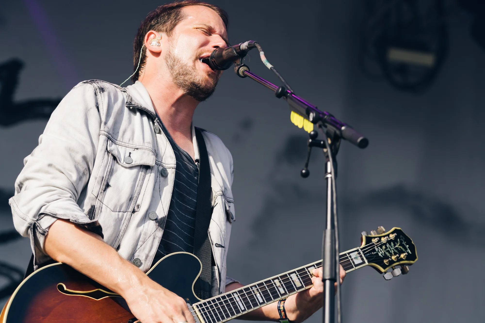 Silversun Pickups