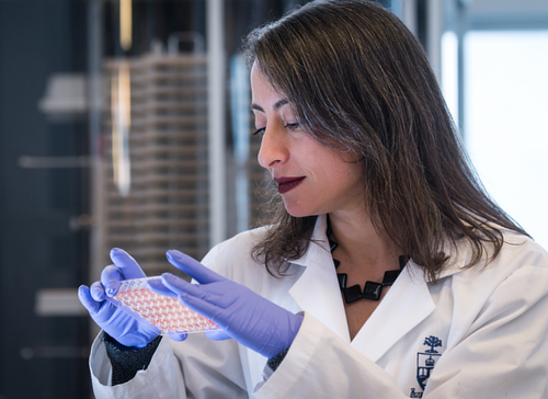 Dr. Leah Cowen