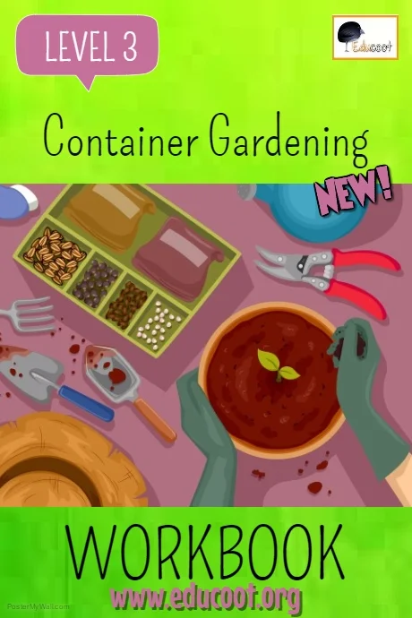 Level 3 Container Gardening