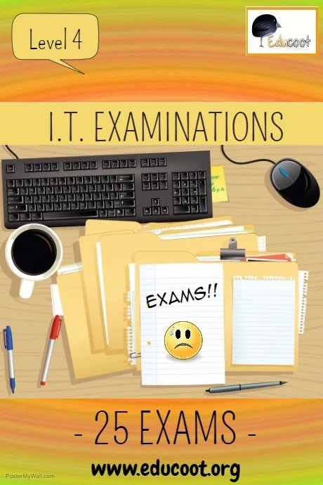 Level 4 Information Technology Skills