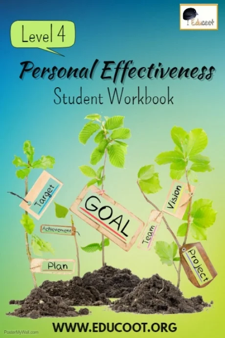 Level 4 Personal Effectiveness