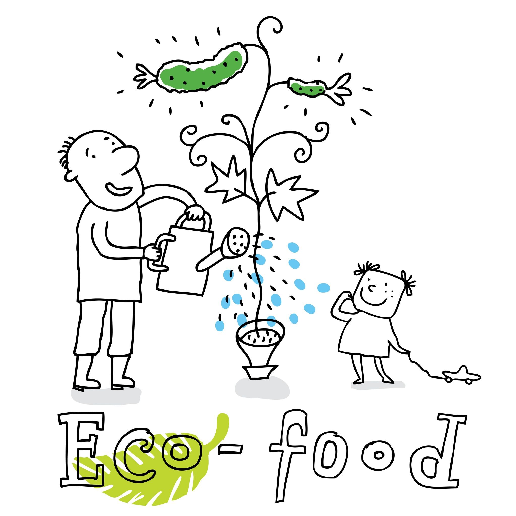  12380788 - eco food; ecology and environment protection, vector drawing ; isolated on background. 