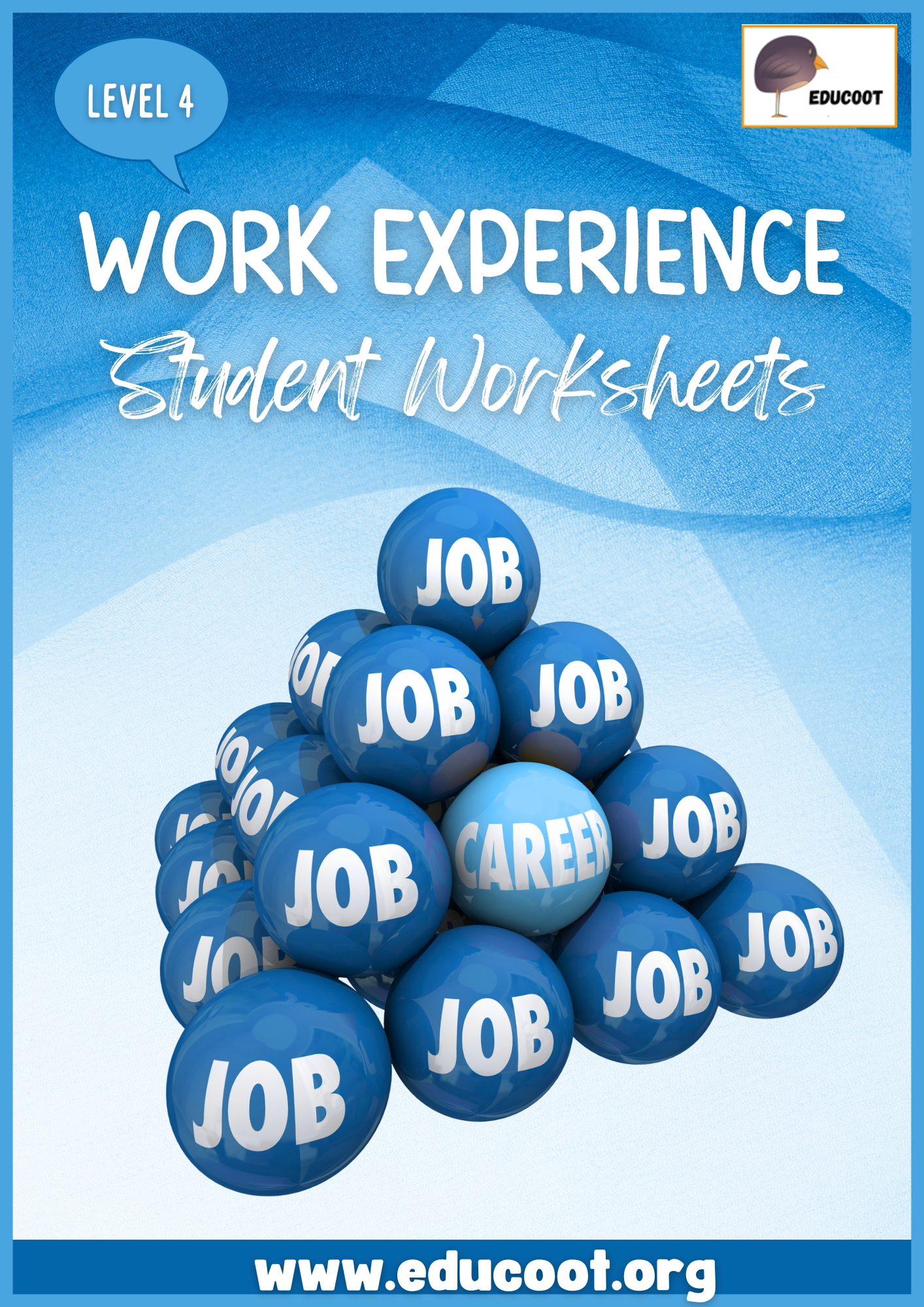 Level 4 Work Experience