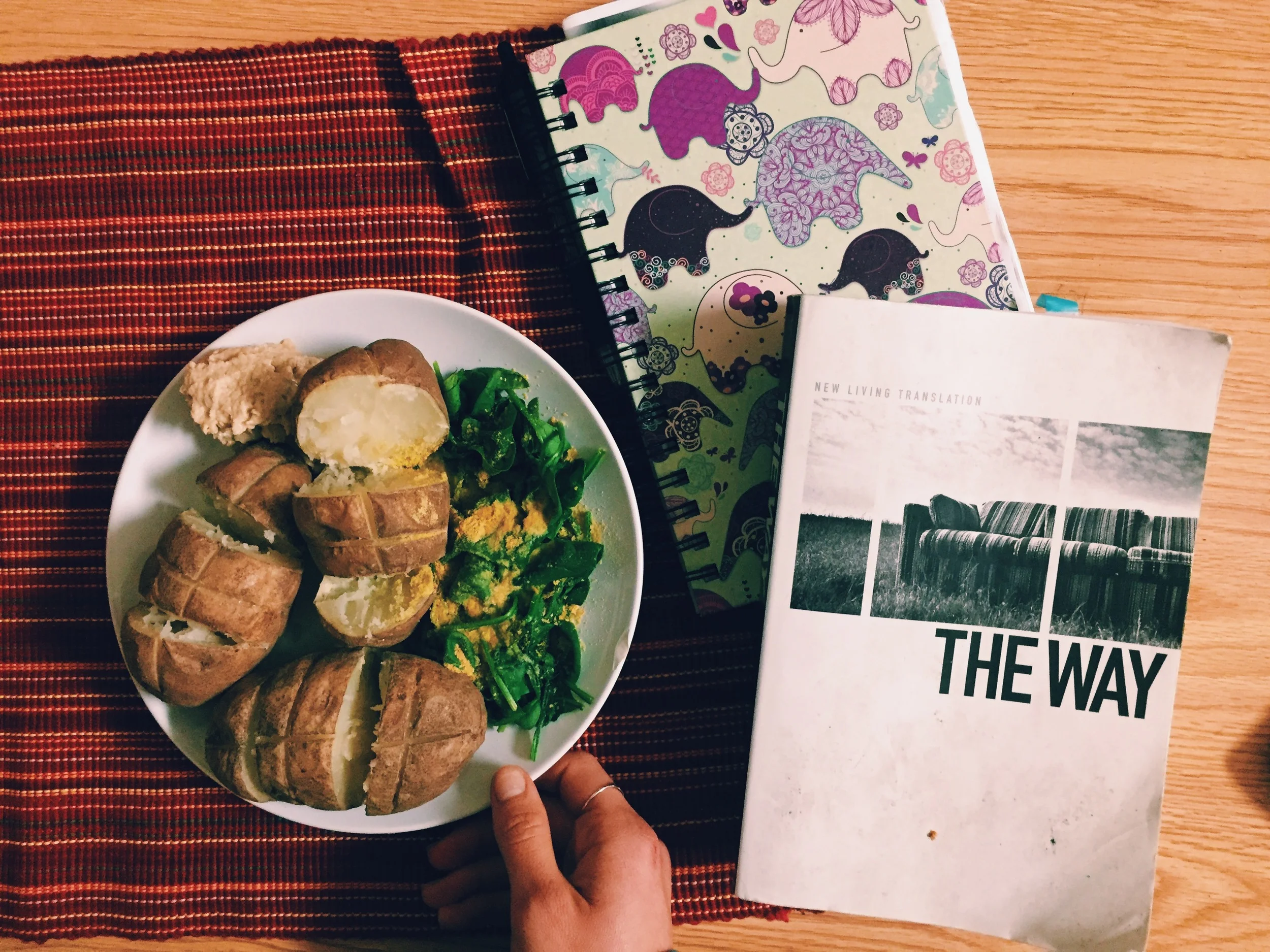 Random picture of baked potatoes + hummus, steamed spinach + nutritional yeast, and my thought-sorter-outer. 