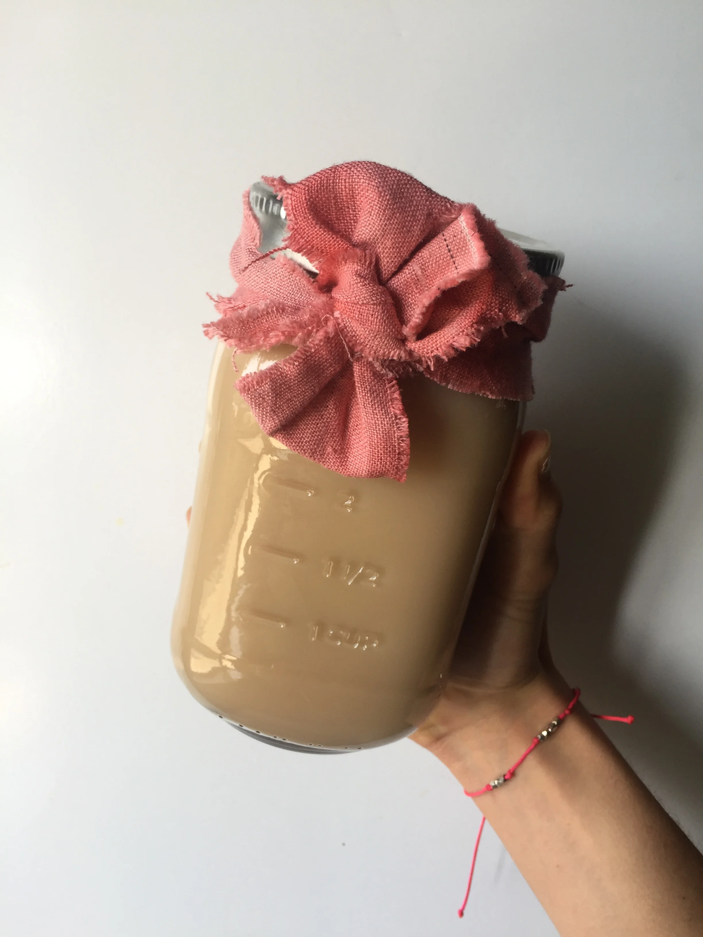 homemade pecan milk - sugar-free, additive-free. DO IT. 