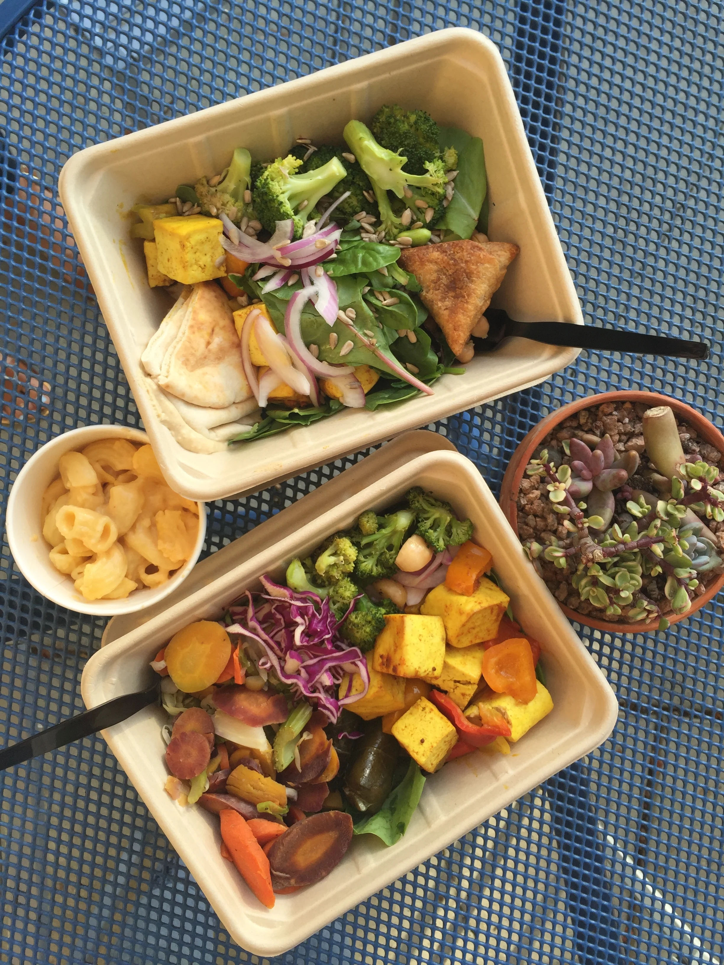 Whole Foods - two messes of a salad. 