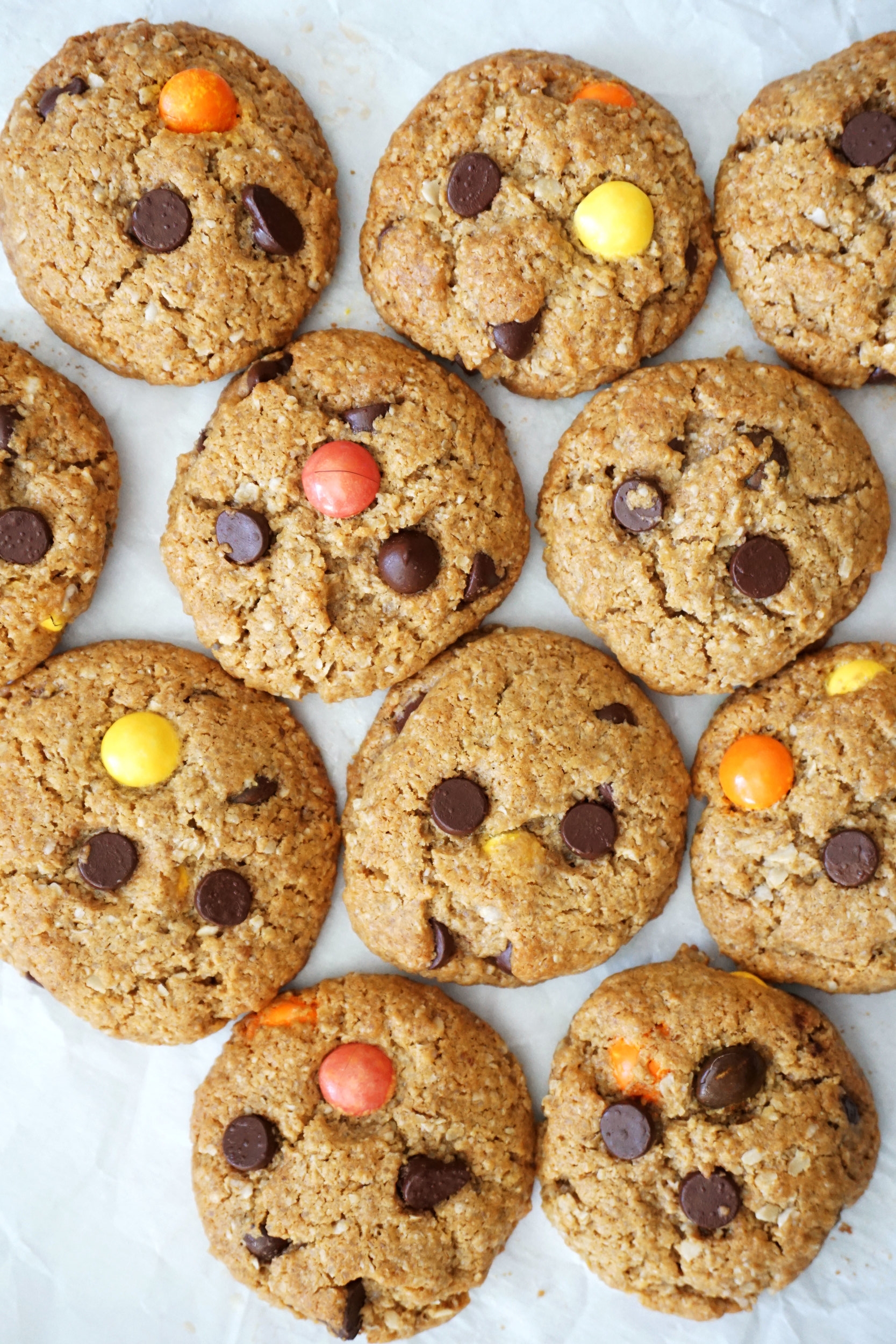 Monster Cookies (GF)