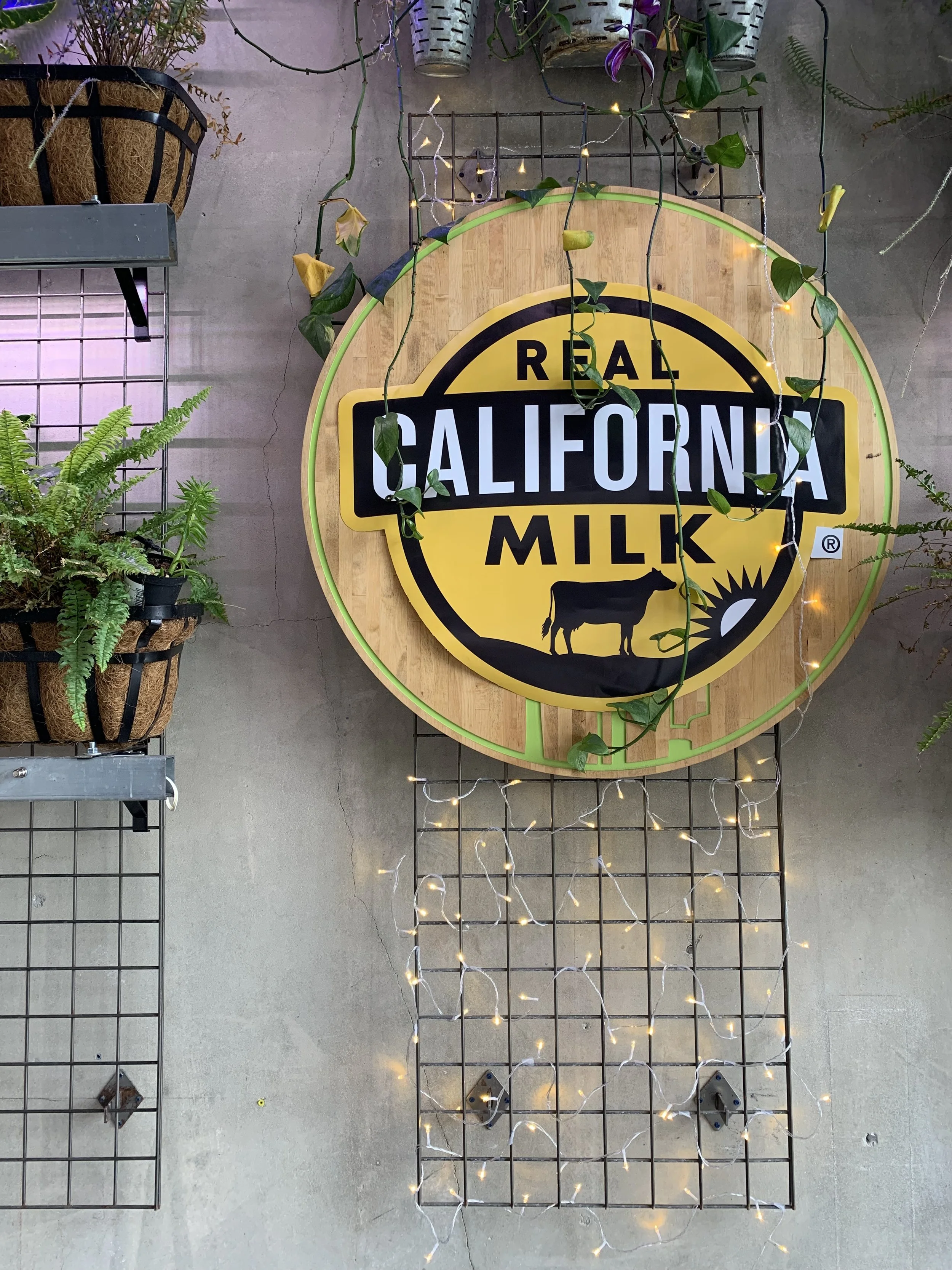 Real California Milk Nourish Event