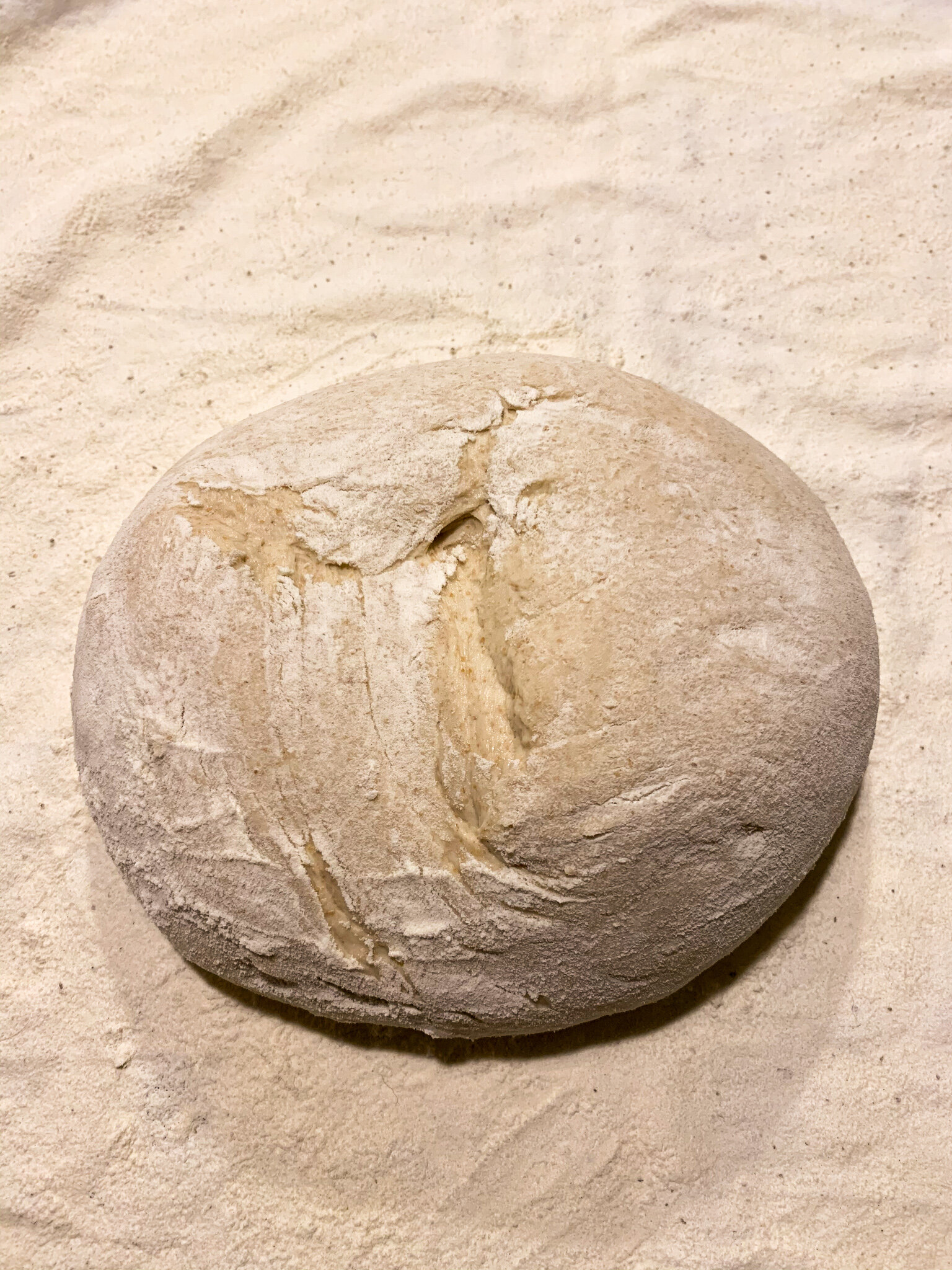 Sourdough Guide: How to Make a Sourdough Loaf Step-by-Step