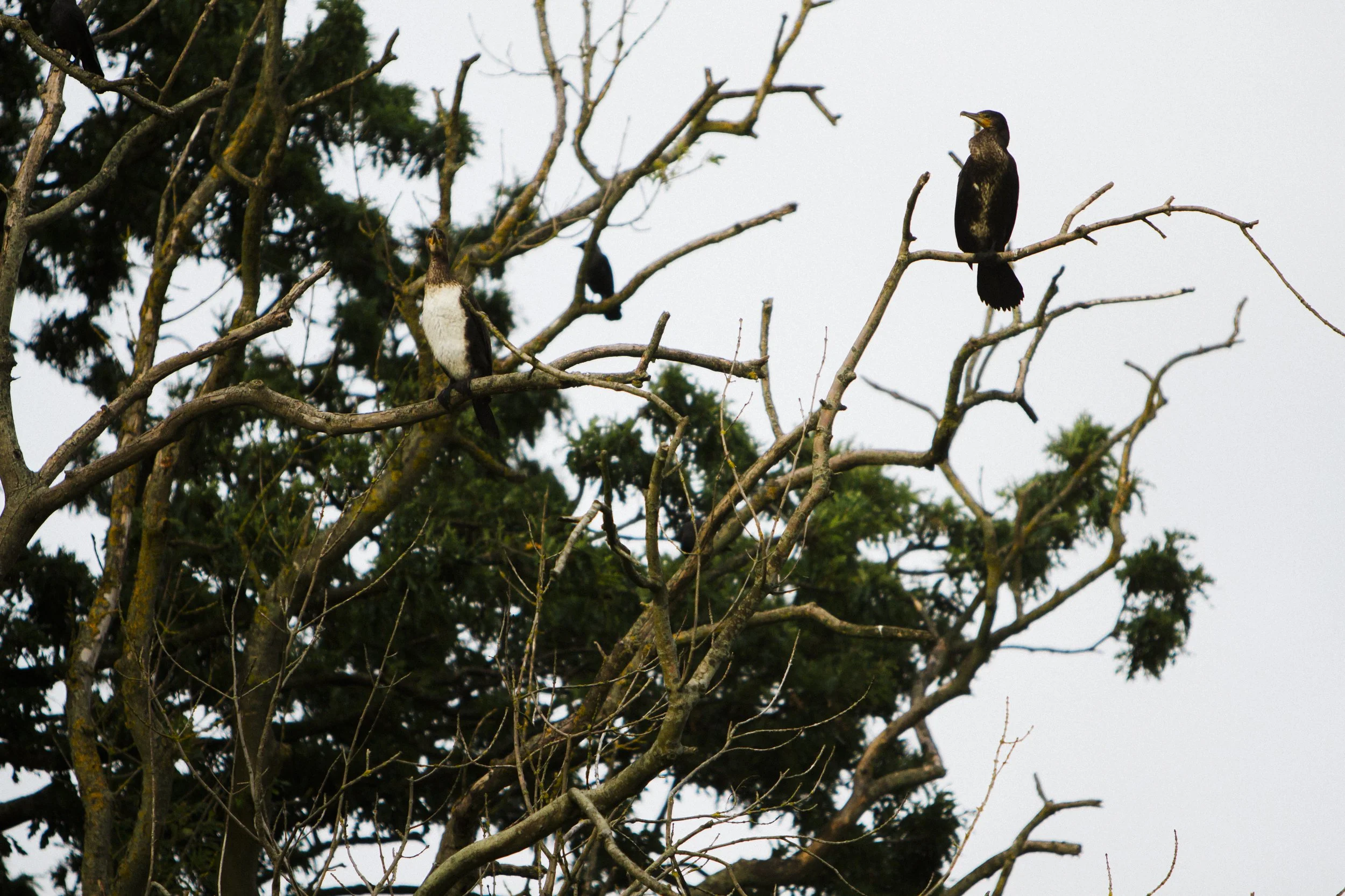 Formby Hall Sefton Wedding Photography_-80.JPG
