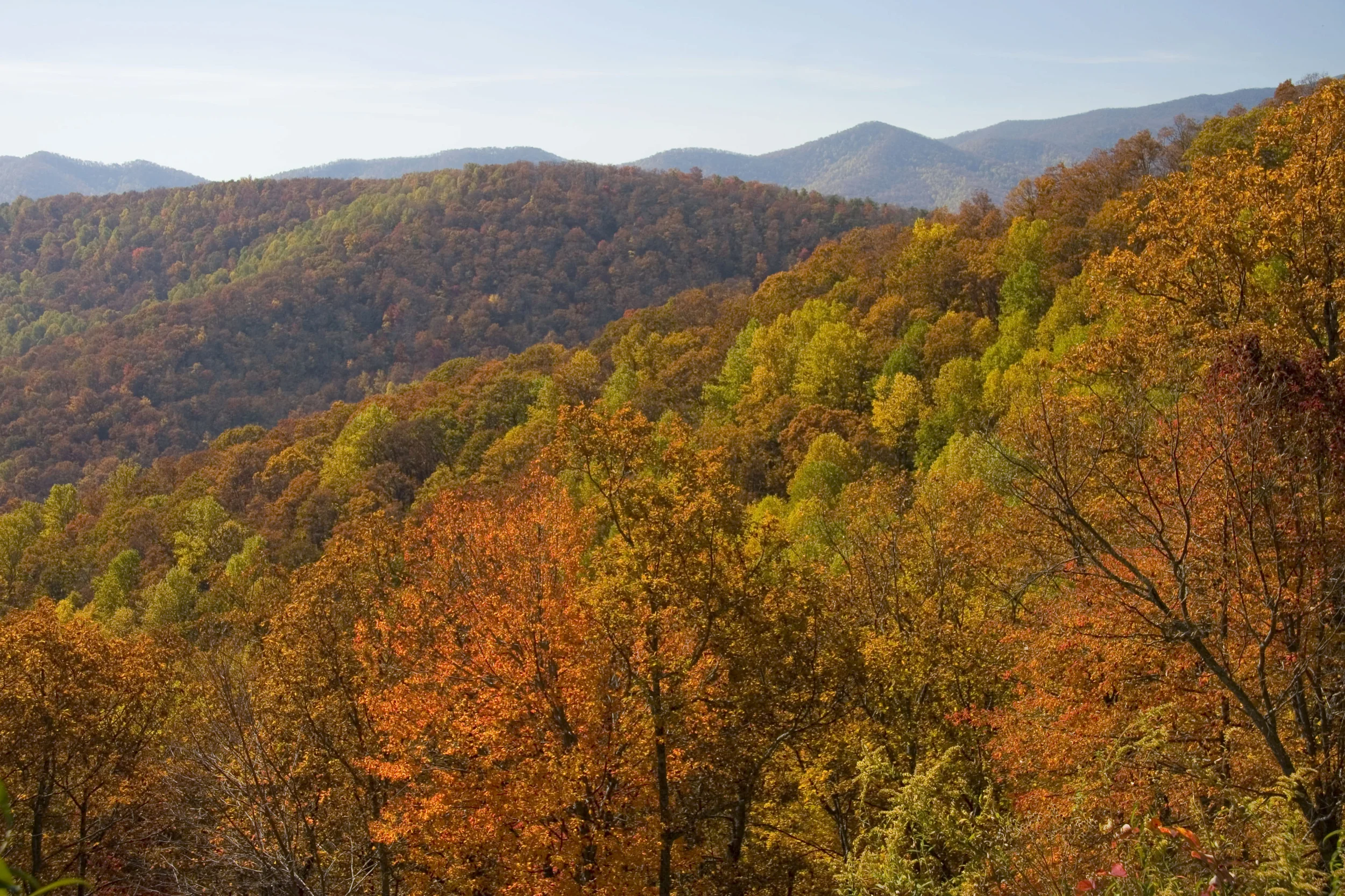 iStock_000001127569Large.jpg