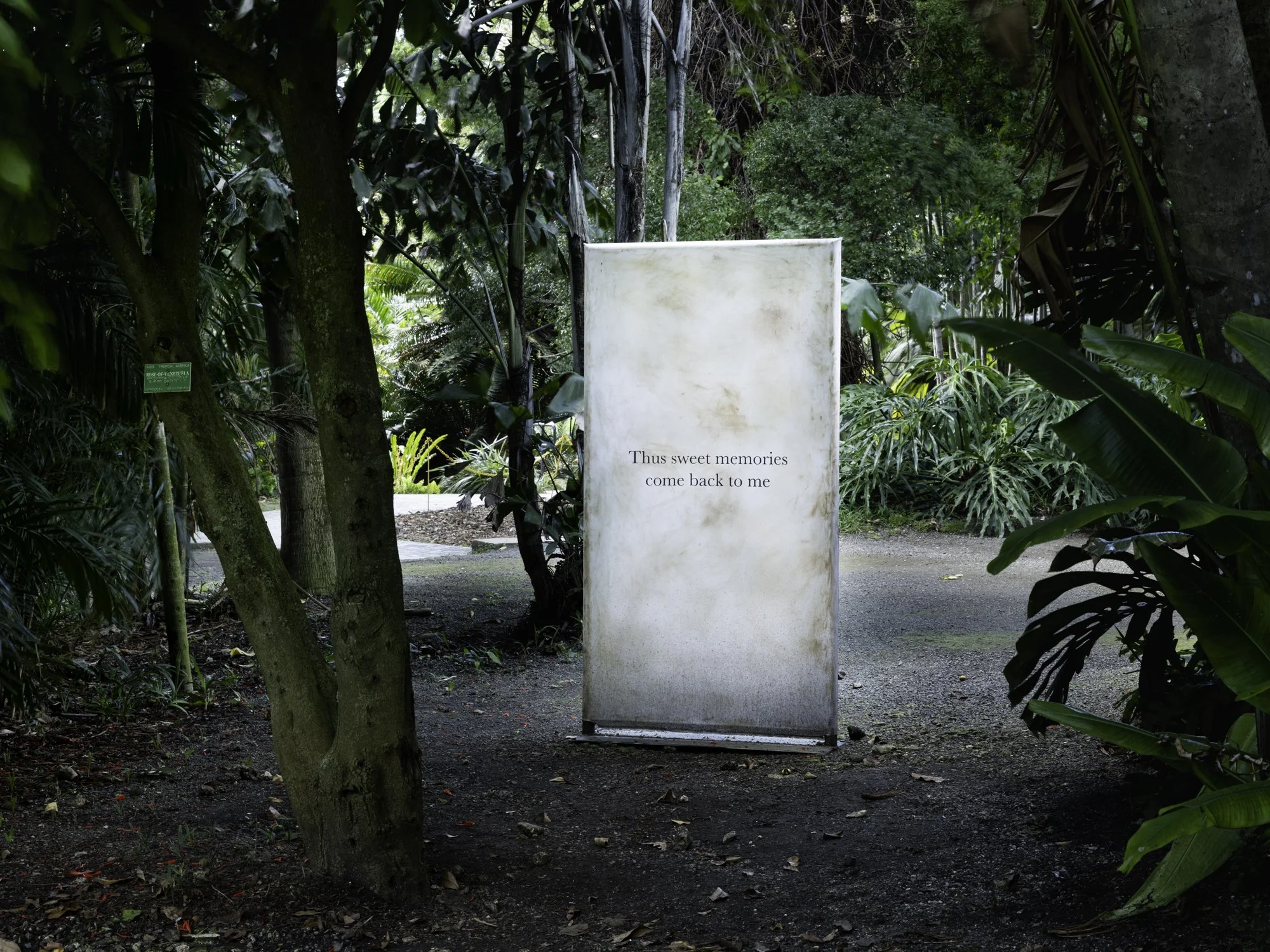 You May Be Loved-9.jpg